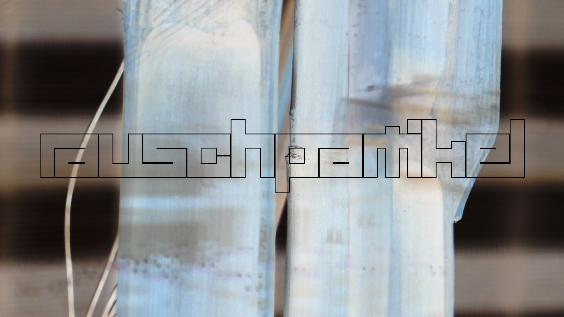 2022-01-03 Das Kleine Regen Rhythmus Orchester (Special Guest: Woodwinds) (Audio, Video)