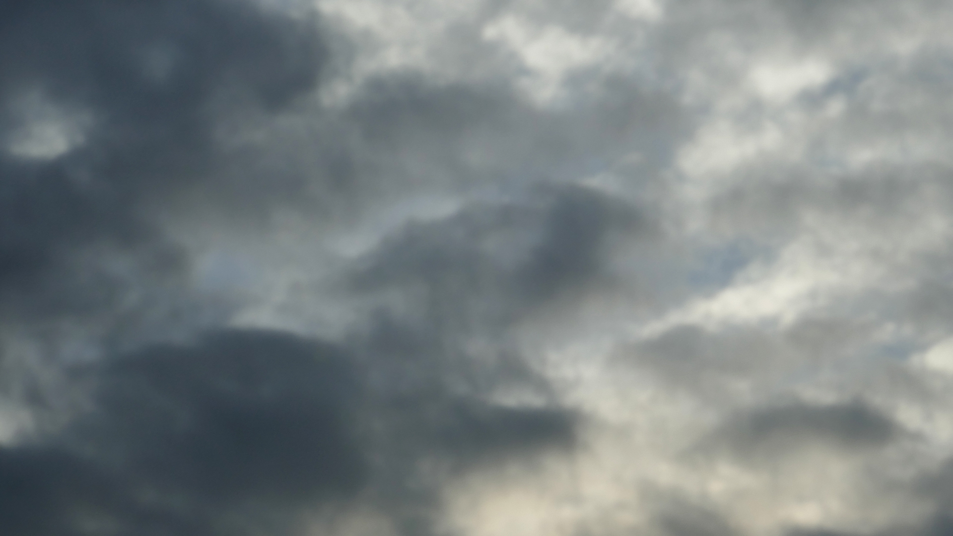 2022-01-03 Das Kleine Regen Rhythmus Orchester (Special Guest: Woodwinds) (Audio, Video)