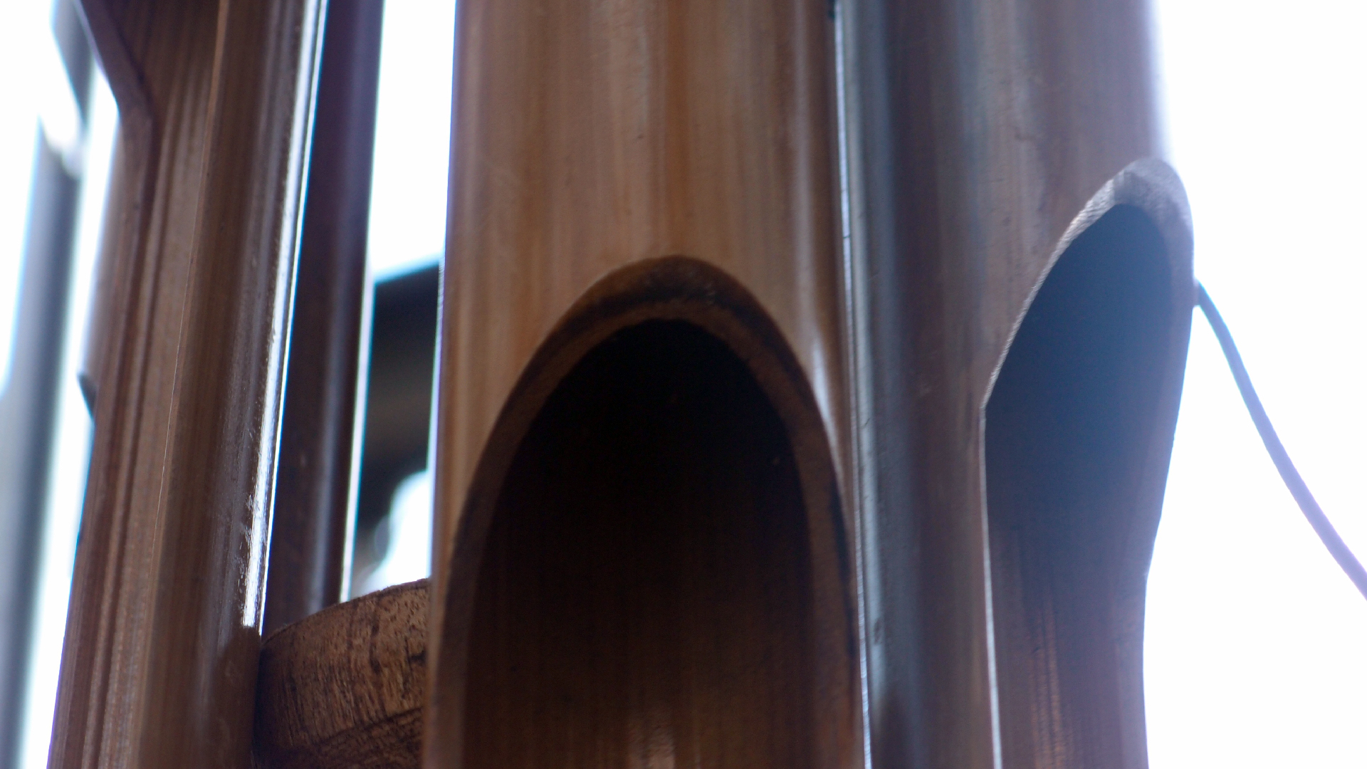 2022-01-20 Das Kleine Regen Rhythmus Orchester (Special Guest: Woodwinds II) (Audio, Video)