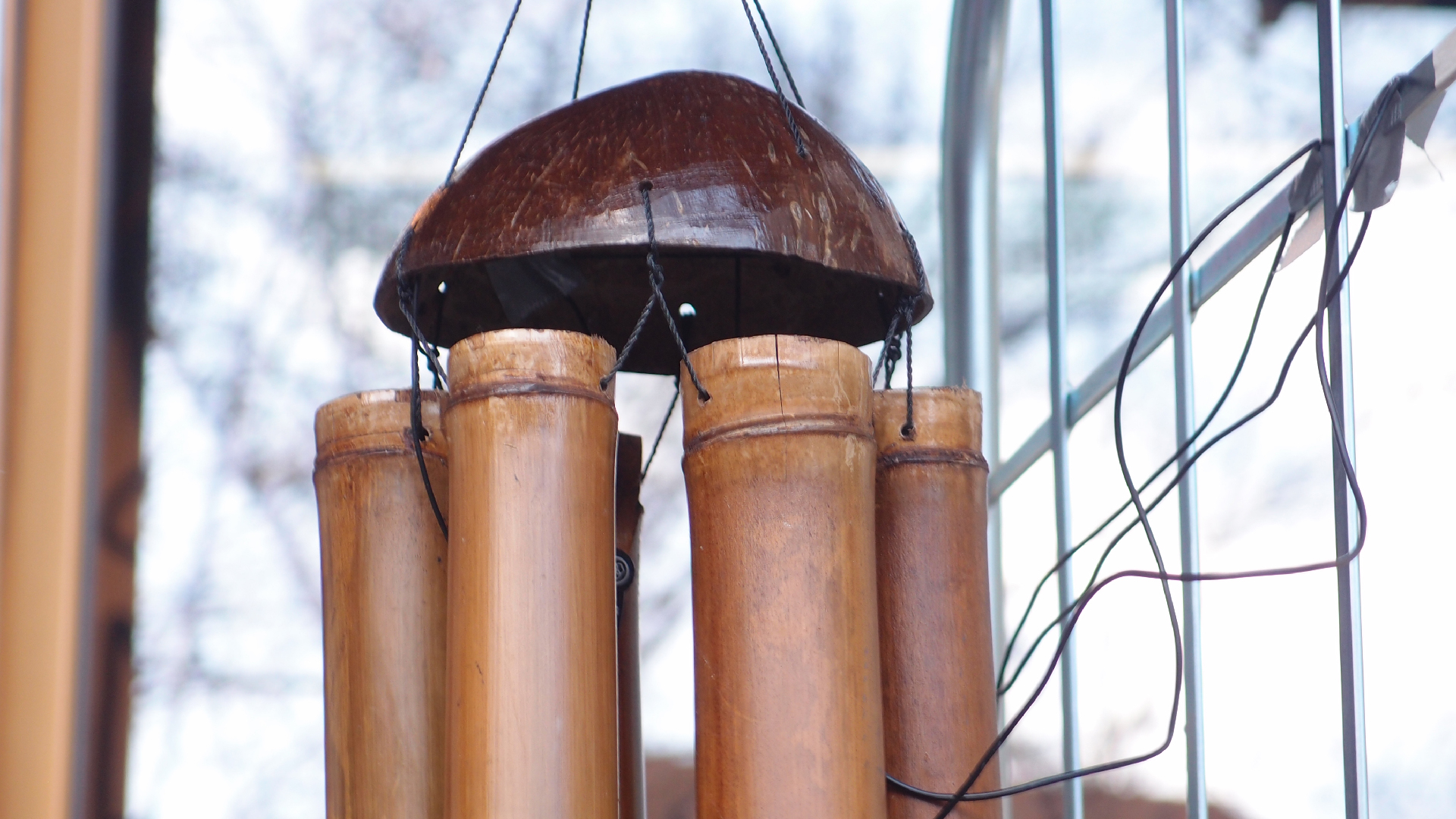 2022-01-20 Das Kleine Regen Rhythmus Orchester (Special Guest: Woodwinds II) (Audio, Video)