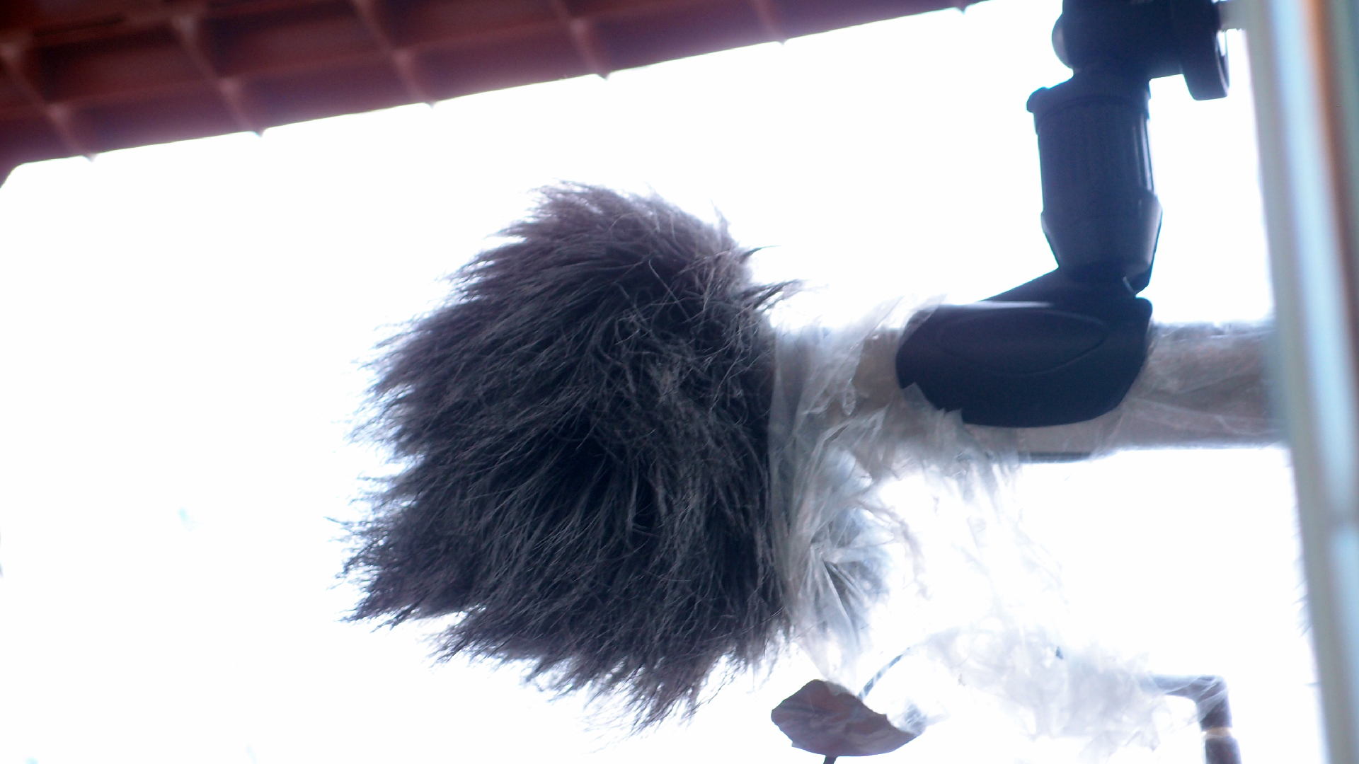 2022-01-20 Das Kleine Regen Rhythmus Orchester (Special Guest: Woodwinds II) (Audio, Video)