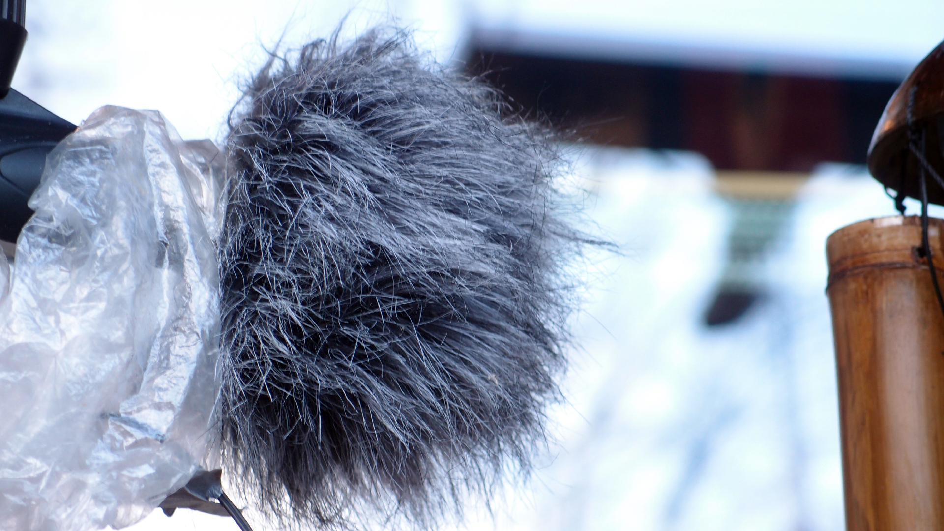 2022-01-20 Das Kleine Regen Rhythmus Orchester (Special Guest: Woodwinds II) (Audio, Video)