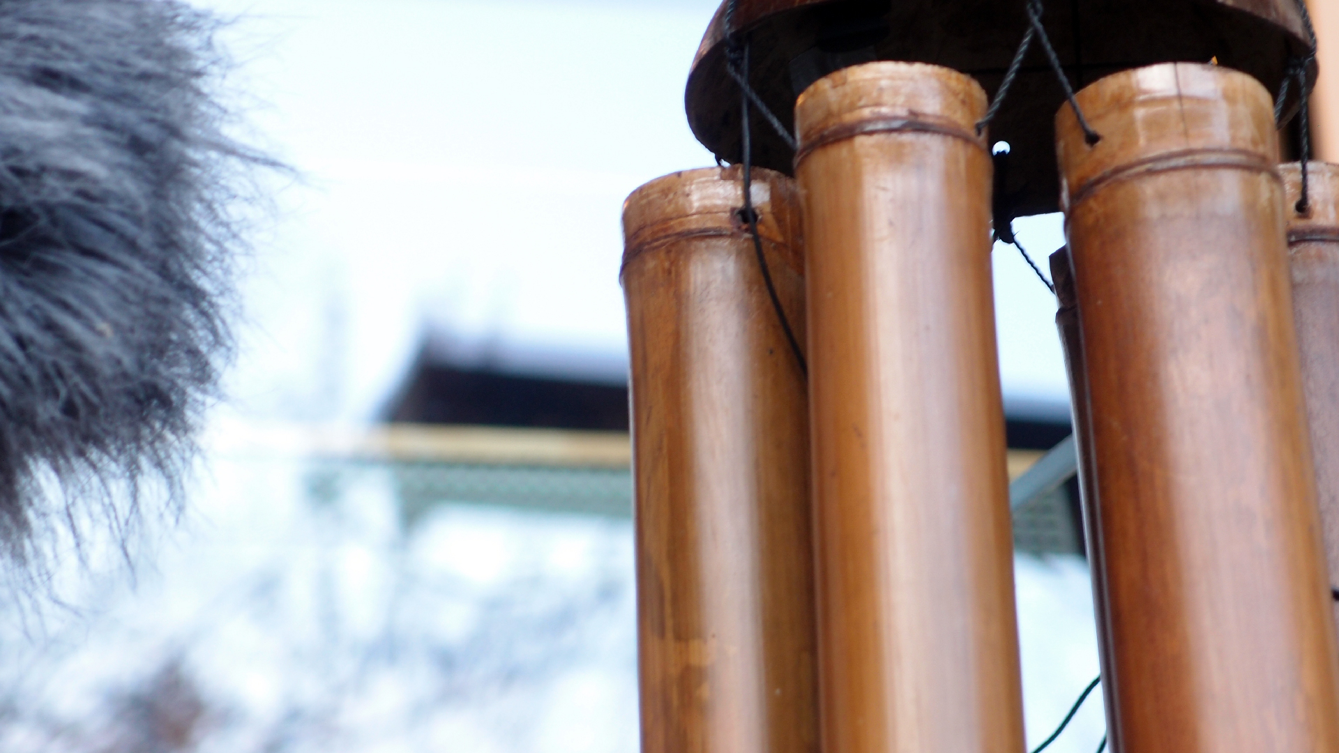 2022-01-20 Das Kleine Regen Rhythmus Orchester (Special Guest: Woodwinds II) (Audio, Video)