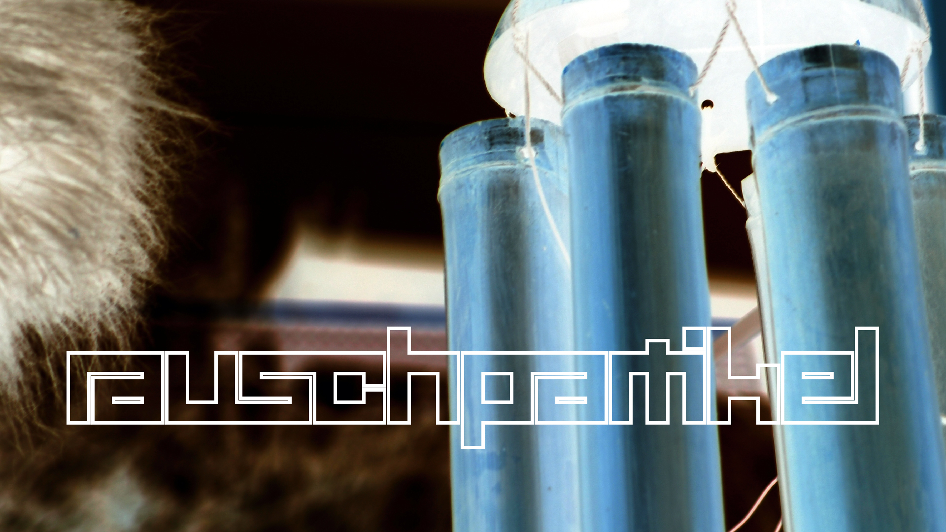 2022-01-20 Das Kleine Regen Rhythmus Orchester (Special Guest: Woodwinds II) (Audio, Video)