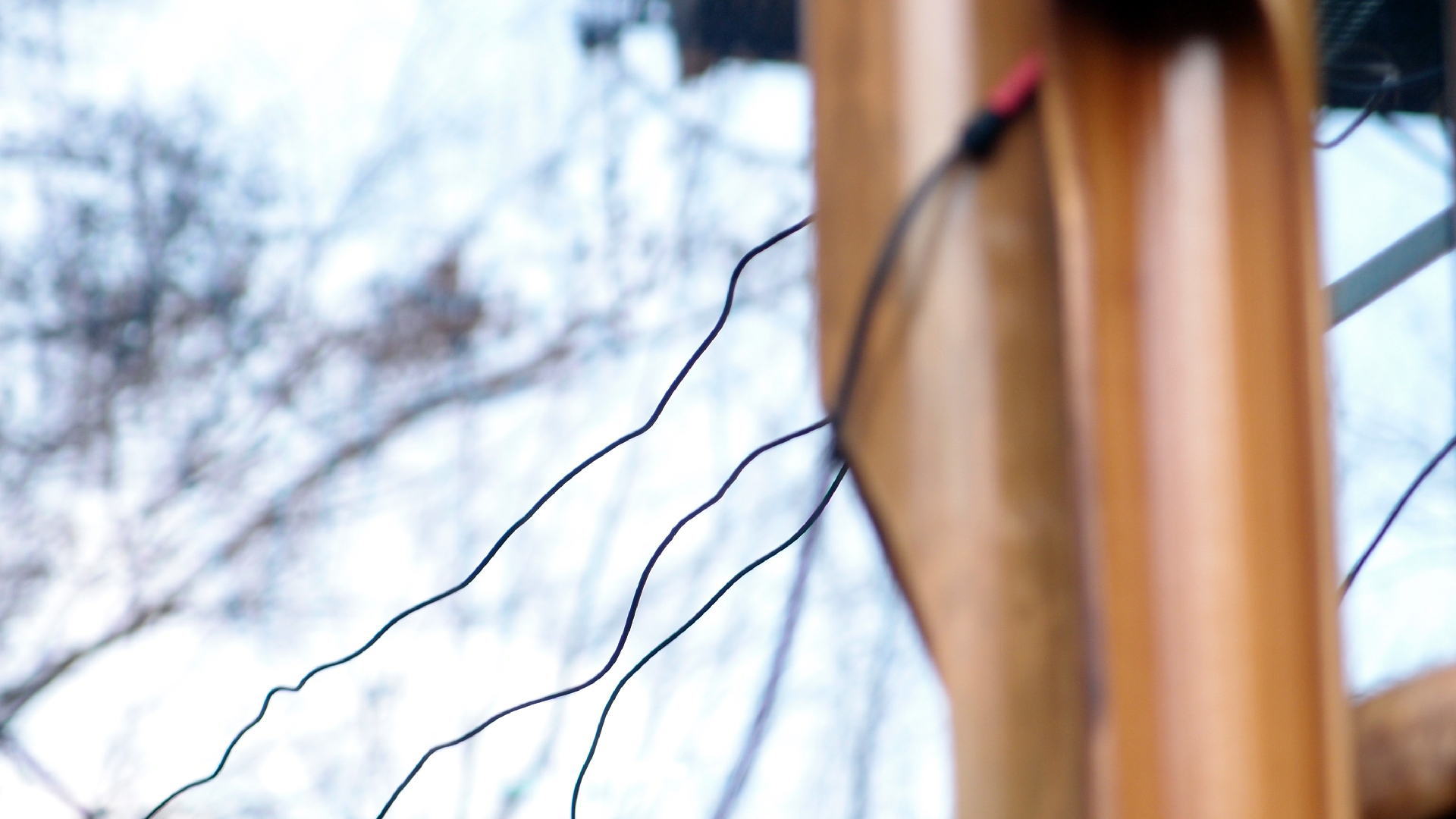 2022-01-20 Das Kleine Regen Rhythmus Orchester (Special Guest: Woodwinds II) (Audio, Video)