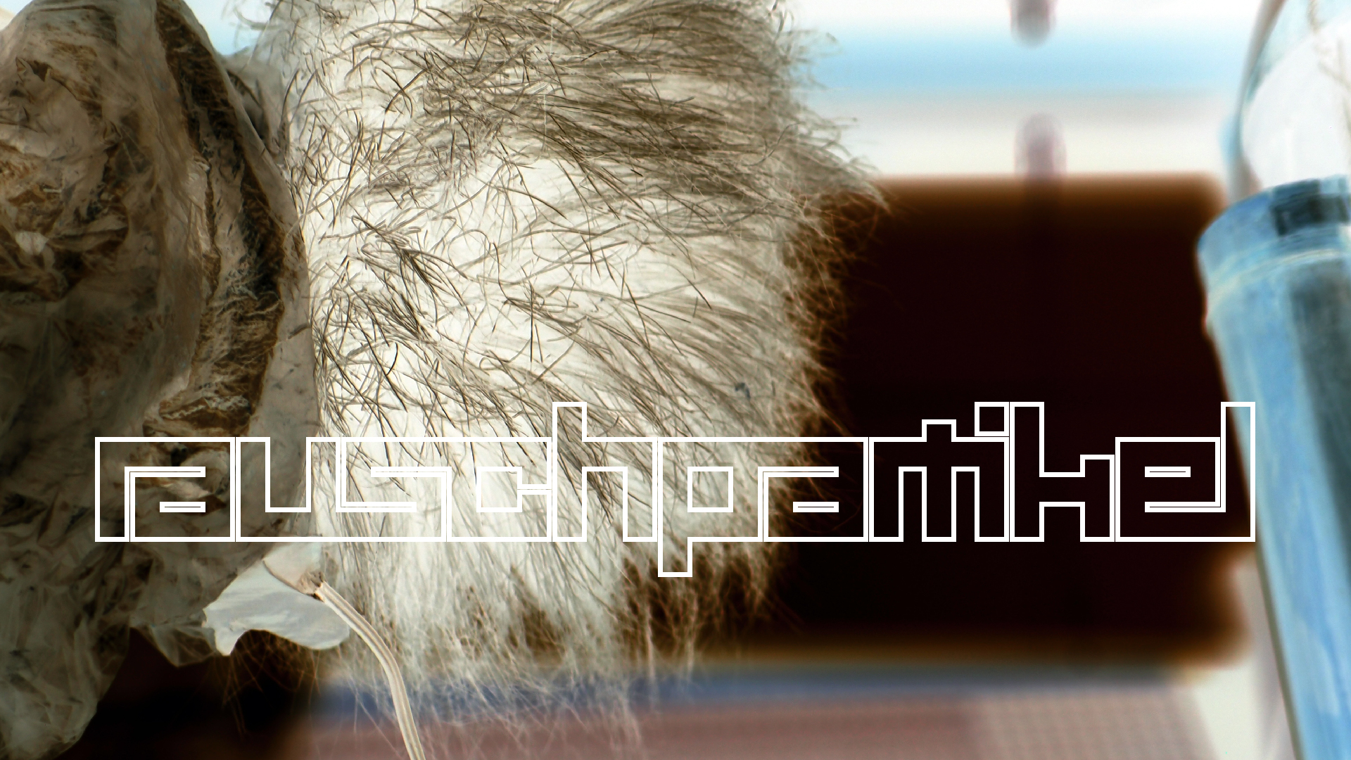 2022-01-20 Das Kleine Regen Rhythmus Orchester (Special Guest: Woodwinds II) (Audio, Video)