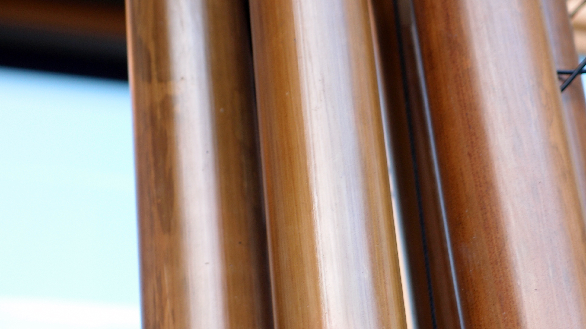 2022-01-20 Das Kleine Regen Rhythmus Orchester (Special Guest: Woodwinds II) (Audio, Video)