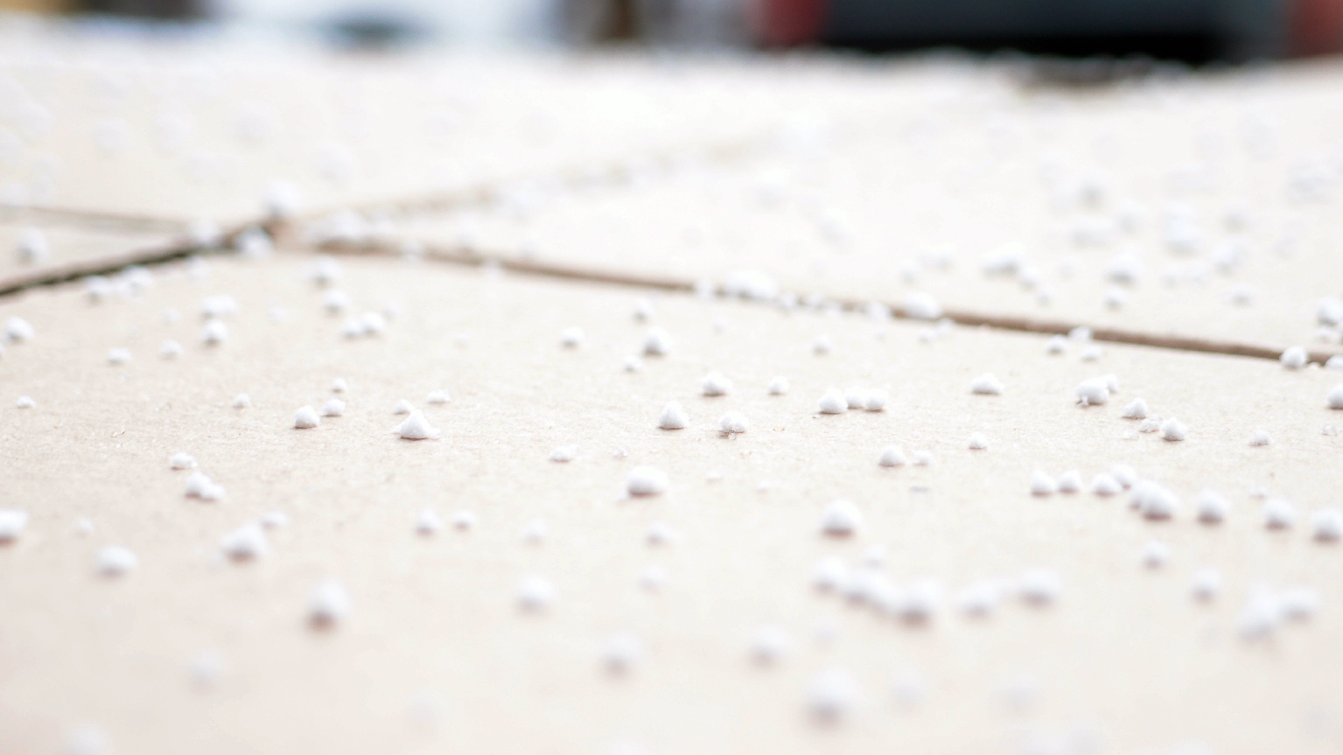 2022-01-20 Das Kleine Regen Rhythmus Orchester (Special Guest: Woodwinds II) (Audio, Video)