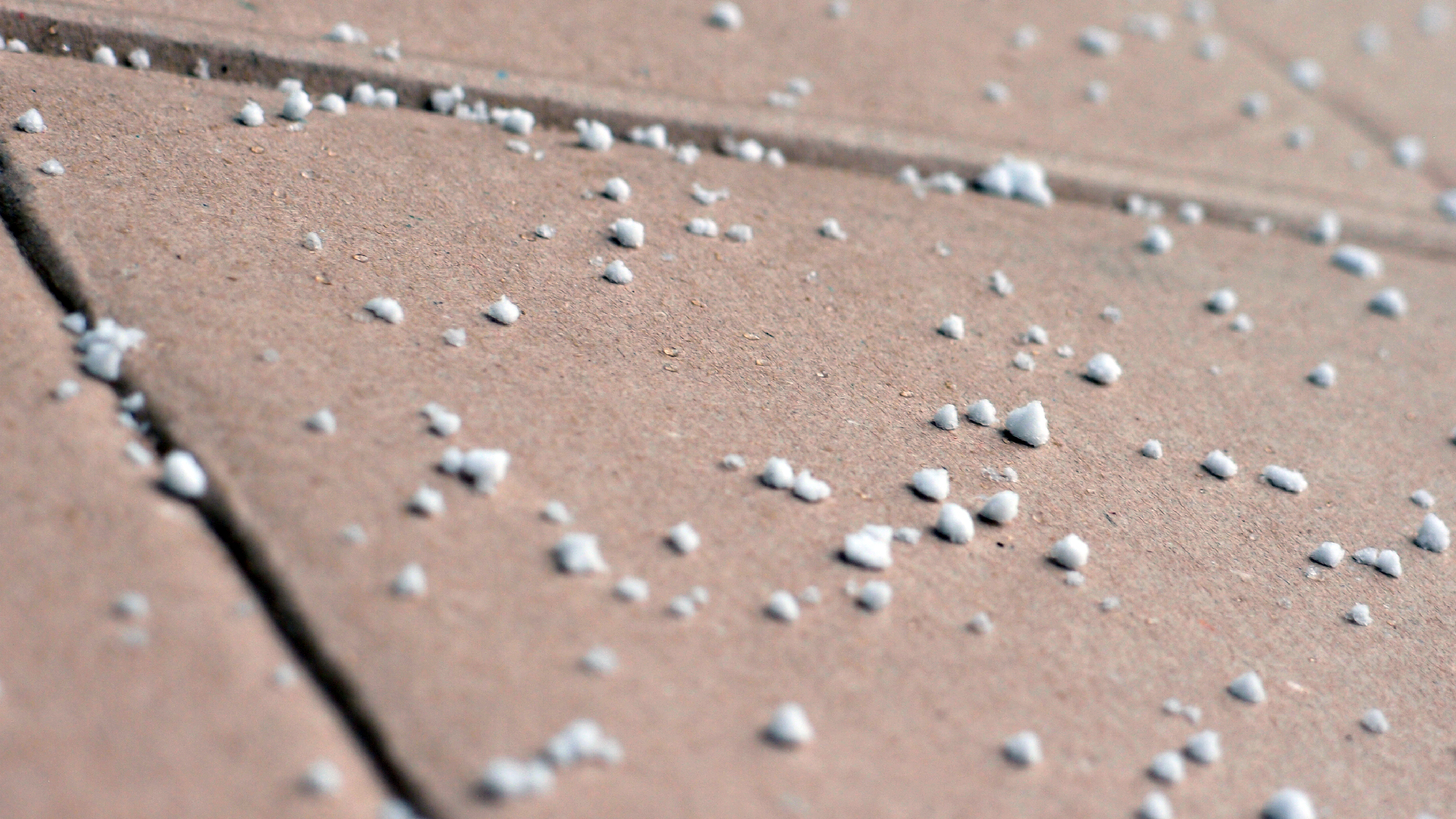 2022-01-20 Das Kleine Regen Rhythmus Orchester (Special Guest: Woodwinds II) (Audio, Video)