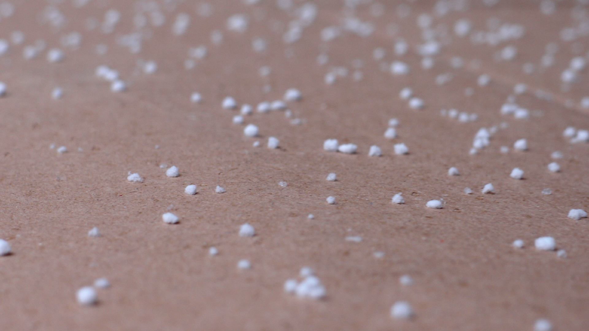 2022-01-20 Das Kleine Regen Rhythmus Orchester (Special Guest: Woodwinds II) (Audio, Video)