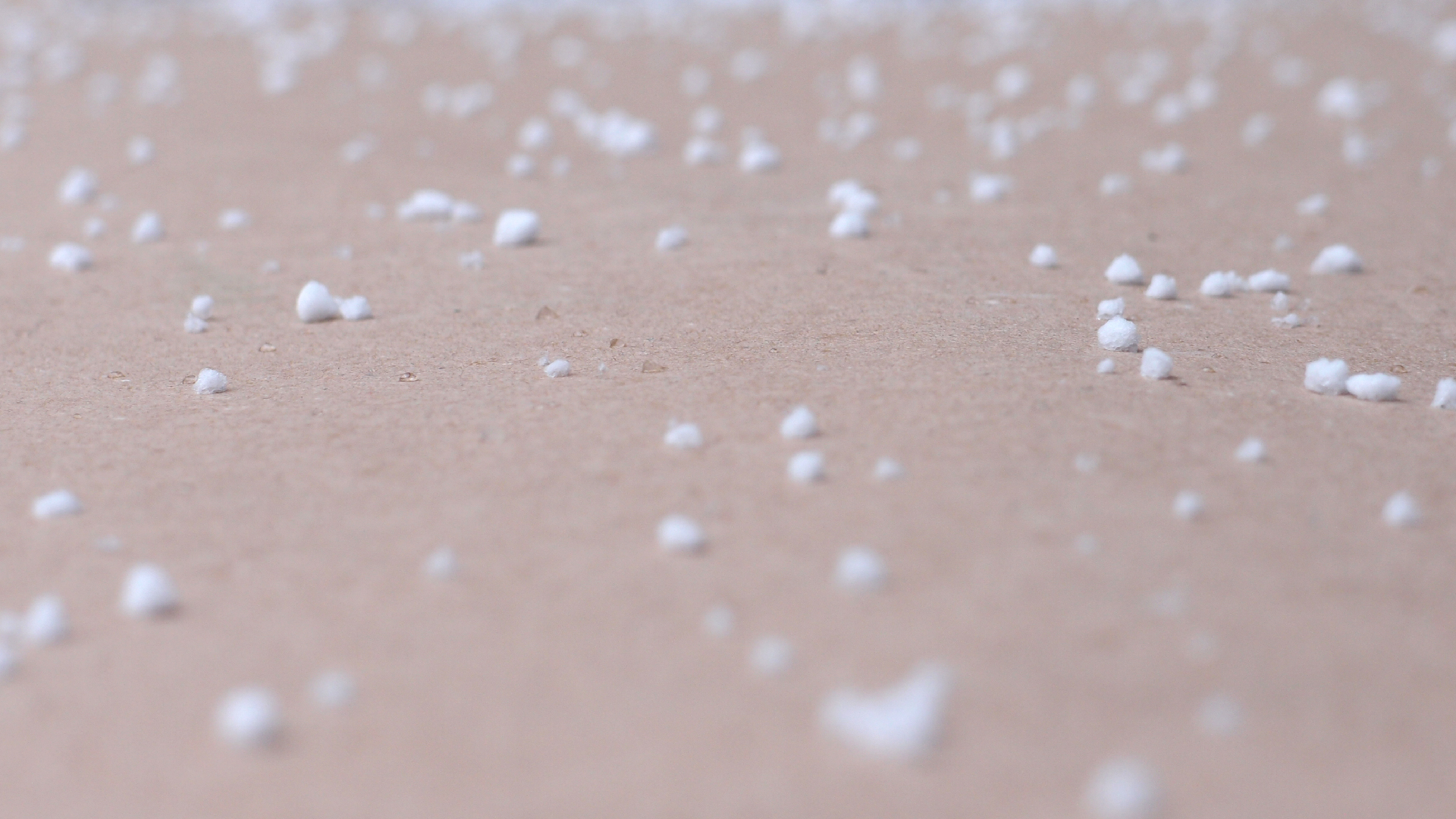 2022-01-20 Das Kleine Regen Rhythmus Orchester (Special Guest: Woodwinds II) (Audio, Video)