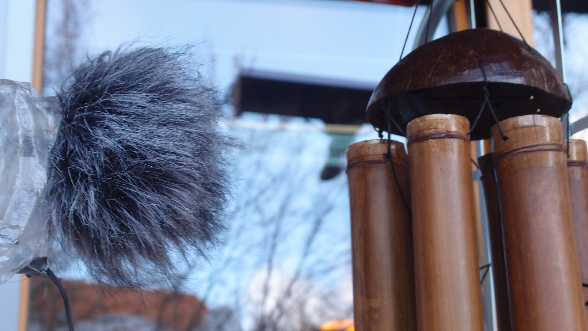 2022-01-20 Das Kleine Regen Rhythmus Orchester (Special Guest: Woodwinds II) (Audio, Video)