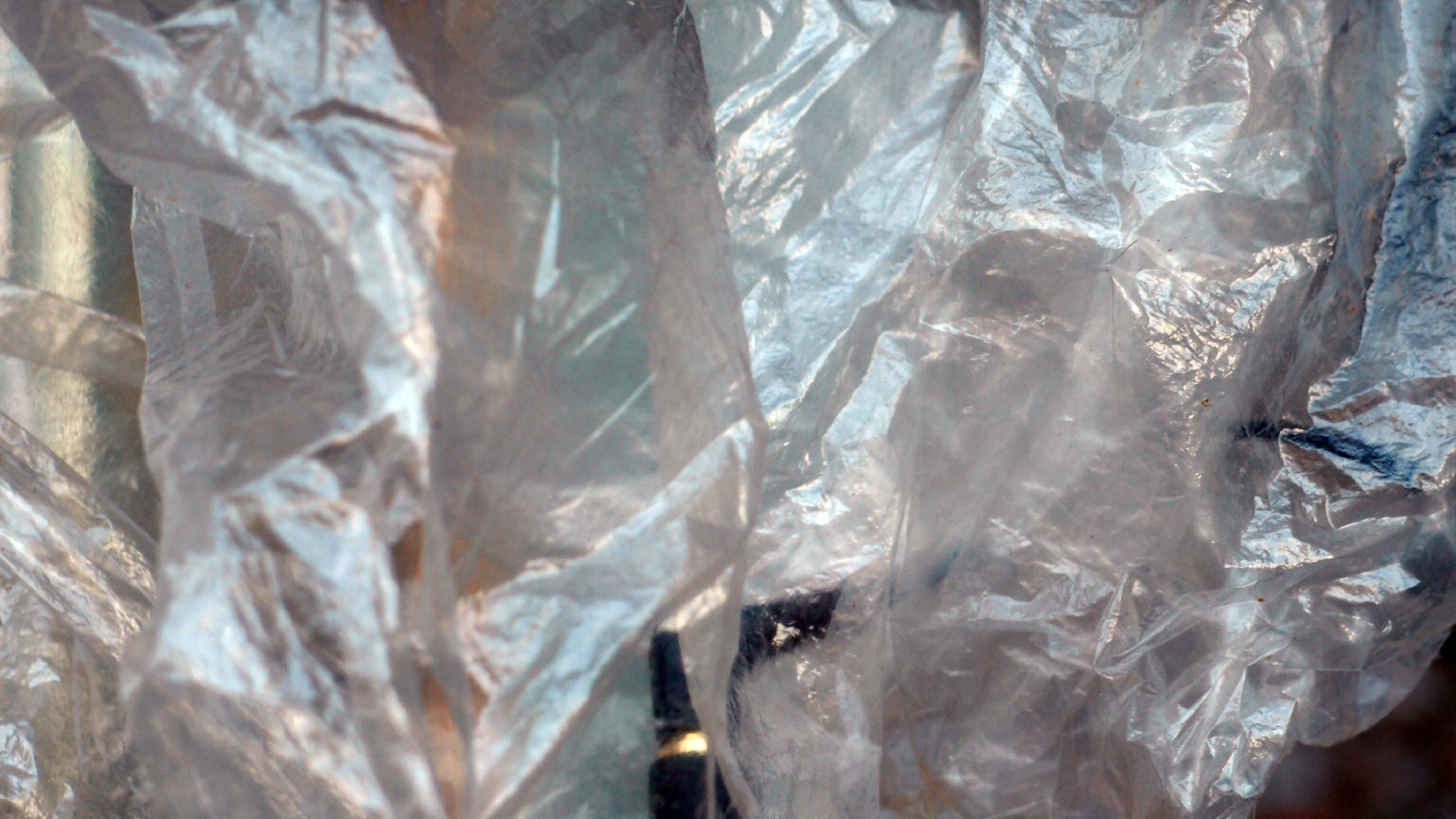 2022-01-20 Das Kleine Regen Rhythmus Orchester (Special Guest: Woodwinds II) (Audio, Video)