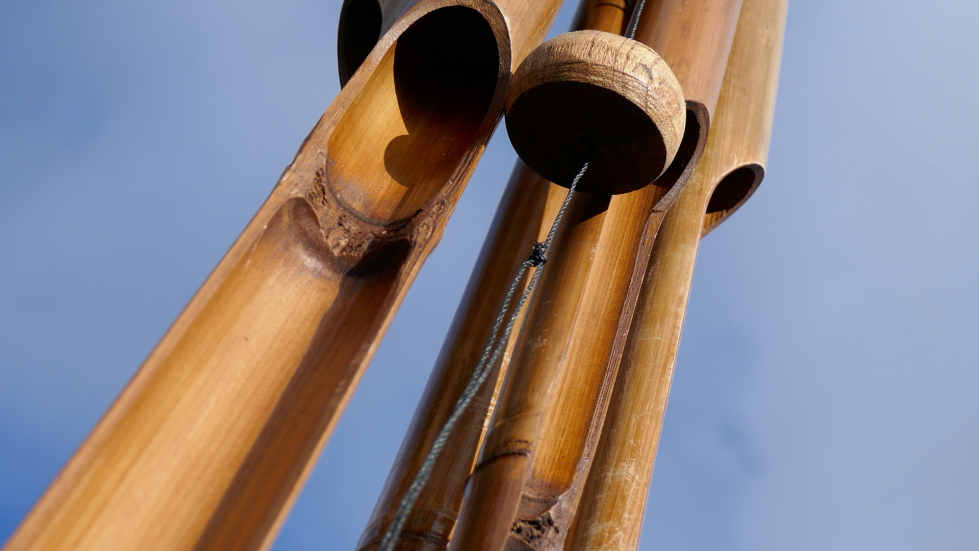 2022-01-28 Das Kleine Regen Rhythmus Orchester (Special Guest: Woodwinds III) (aufm Dach) (Audio, Video)