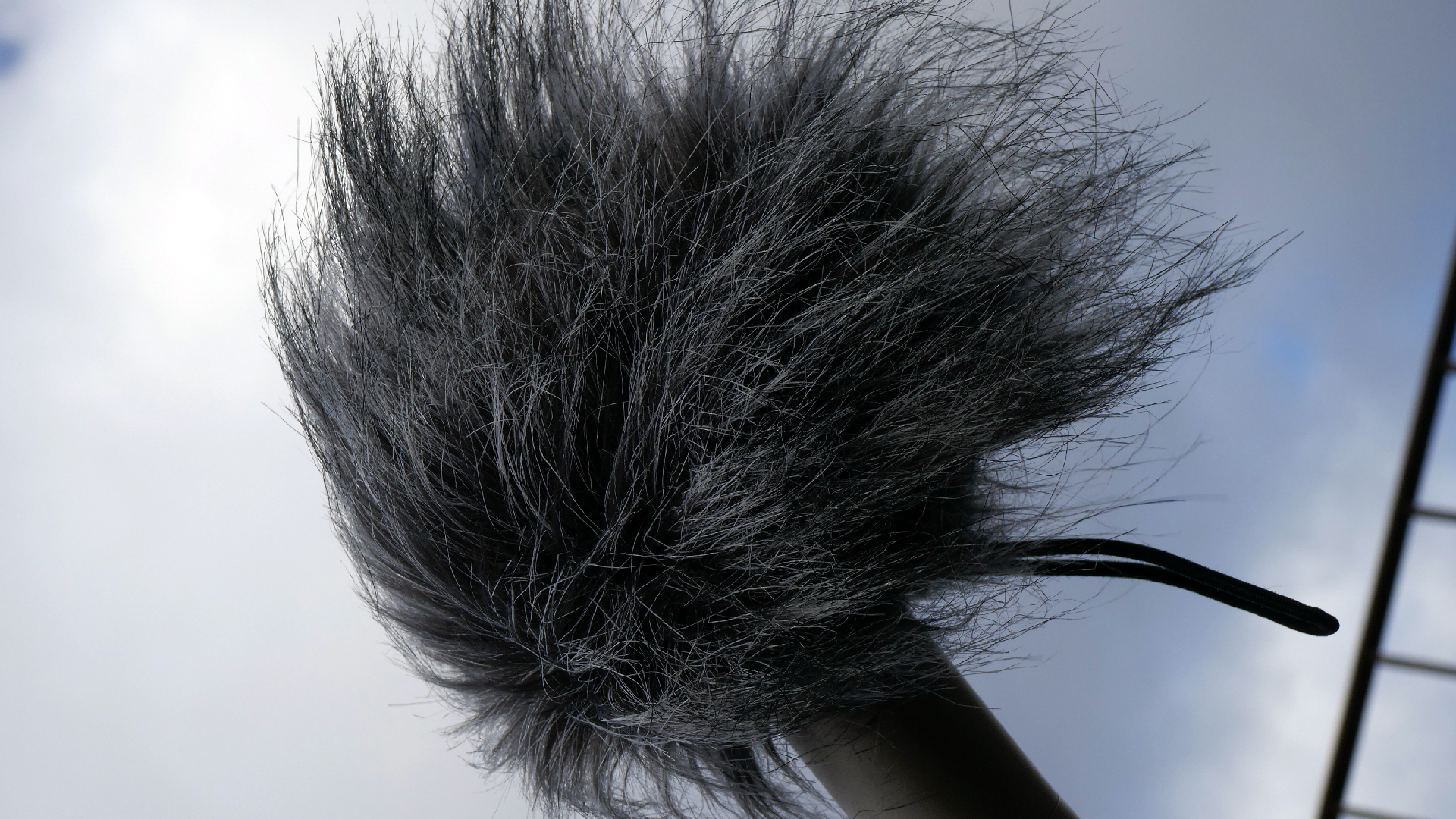 2022-01-28 Das Kleine Regen Rhythmus Orchester (Special Guest: Woodwinds III) (aufm Dach) (Audio, Video)