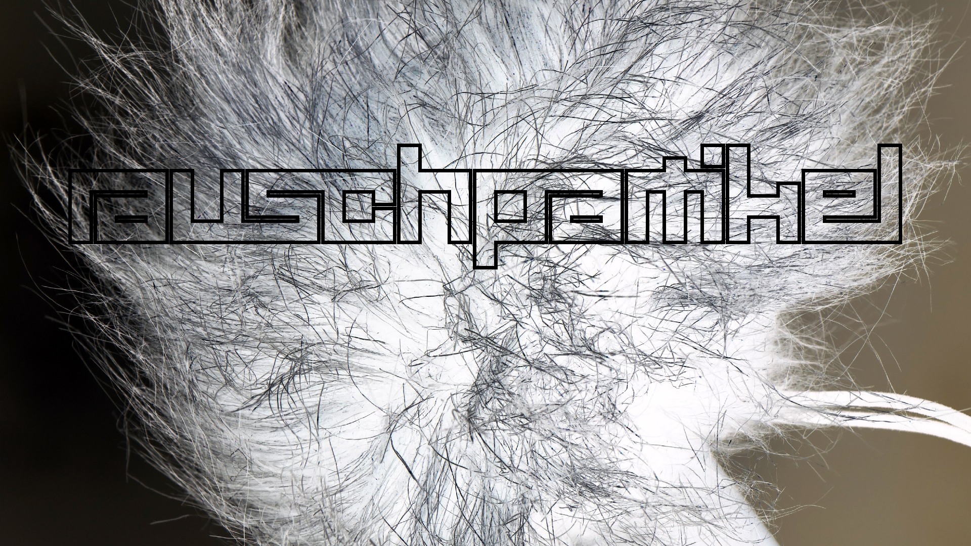 2022-01-28 Das Kleine Regen Rhythmus Orchester (Special Guest: Woodwinds III) (aufm Dach) (Audio, Video)