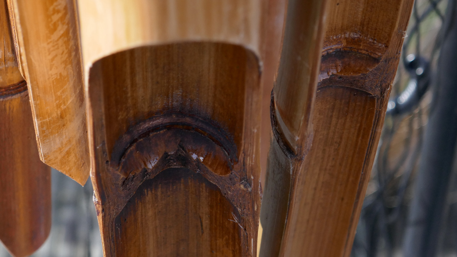 2022-01-28 Das Kleine Regen Rhythmus Orchester (Special Guest: Woodwinds III) (aufm Dach) (Audio, Video)