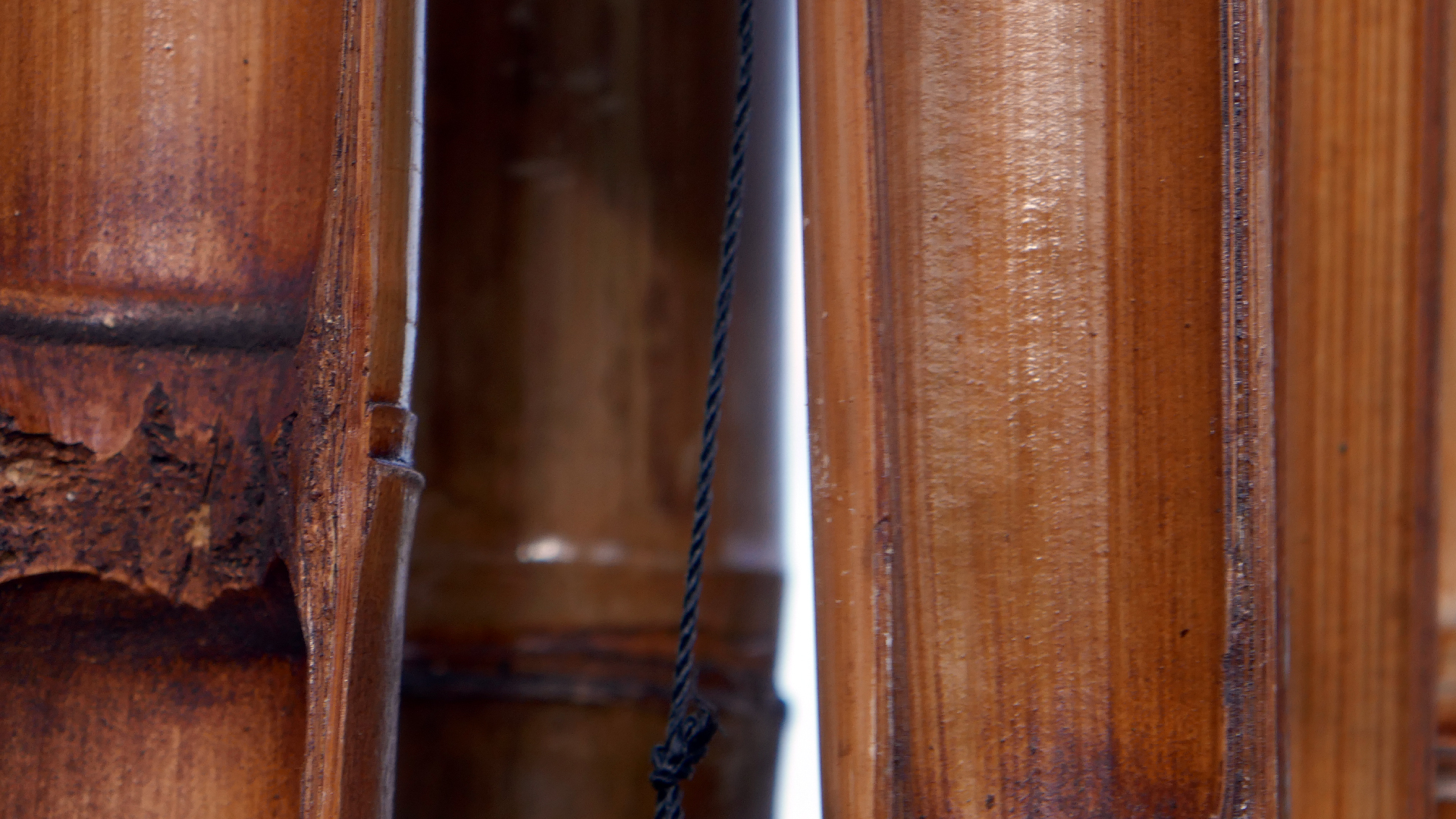 2022-01-28 Das Kleine Regen Rhythmus Orchester (Special Guest: Woodwinds III) (aufm Dach) (Audio, Video)