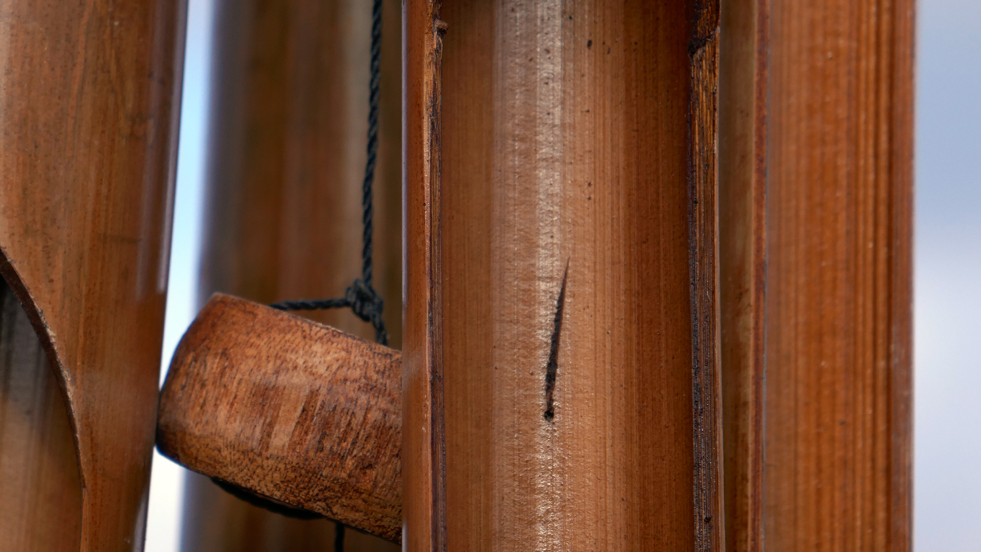 2022-01-28 Das Kleine Regen Rhythmus Orchester (Special Guest: Woodwinds III) (aufm Dach) (Audio, Video)