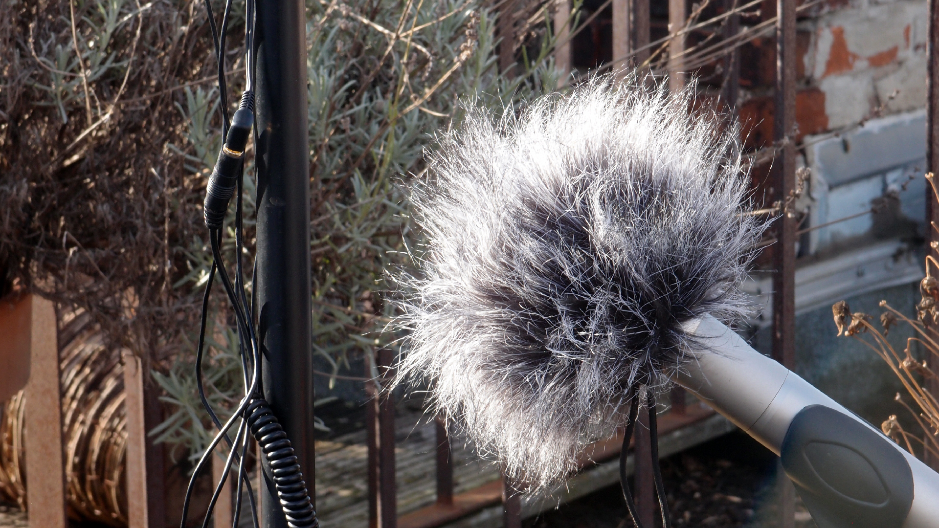 2022-01-28 Das Kleine Regen Rhythmus Orchester (Special Guest: Woodwinds III) (aufm Dach) (Audio, Video)