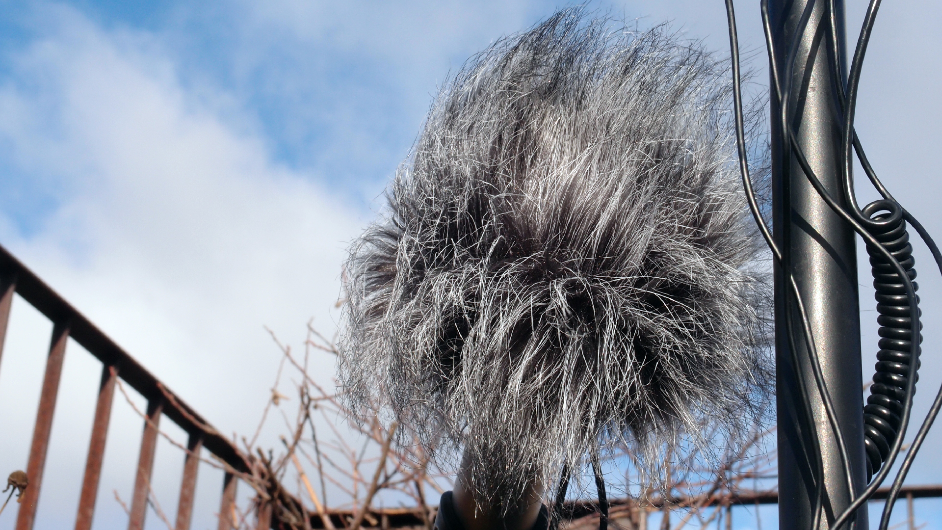 2022-01-28 Das Kleine Regen Rhythmus Orchester (Special Guest: Woodwinds III) (aufm Dach) (Audio, Video)