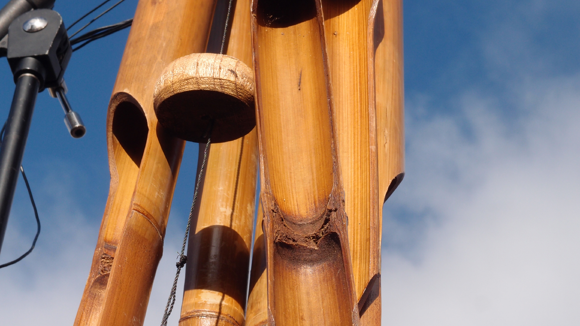 2022-01-28 Das Kleine Regen Rhythmus Orchester (Special Guest: Woodwinds III) (aufm Dach) (Audio, Video)