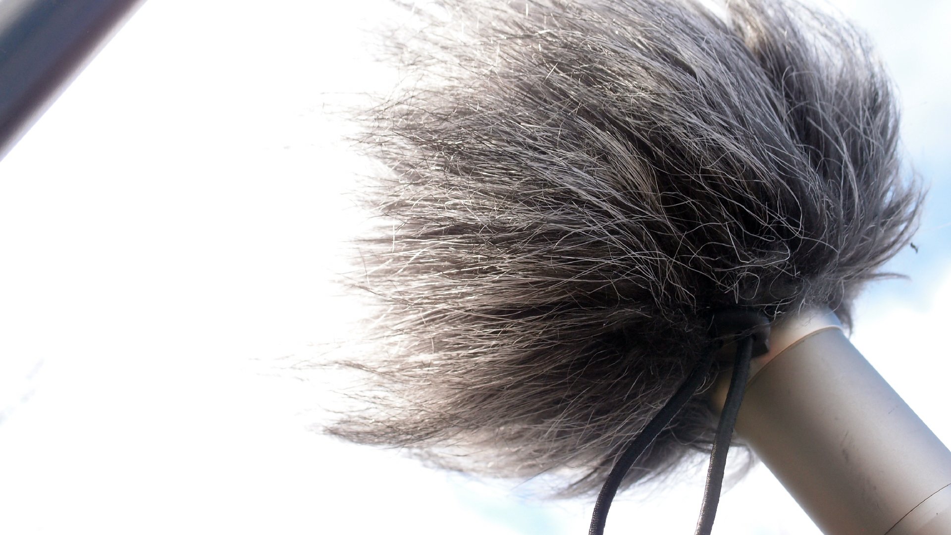 2022-01-28 Das Kleine Regen Rhythmus Orchester (Special Guest: Woodwinds III) (aufm Dach) (Audio, Video)