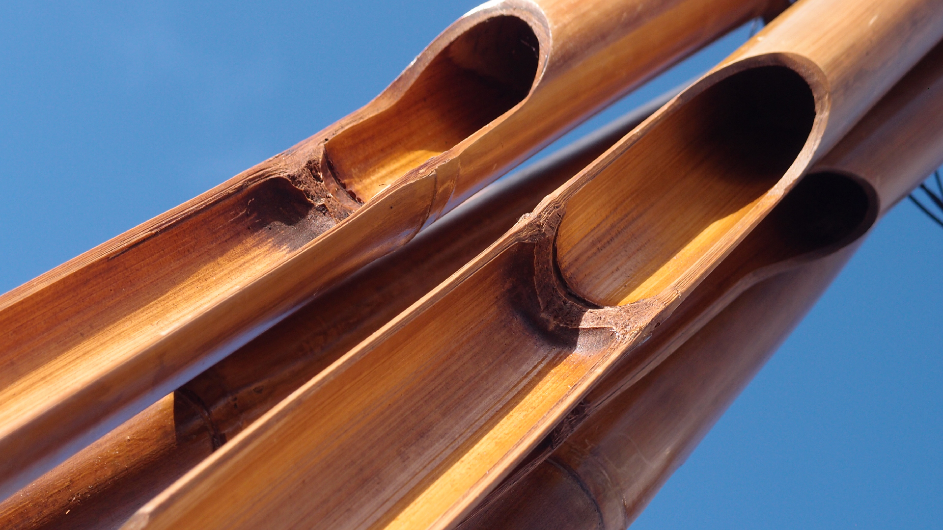 2022-01-28 Das Kleine Regen Rhythmus Orchester (Special Guest: Woodwinds III) (aufm Dach) (Audio, Video)