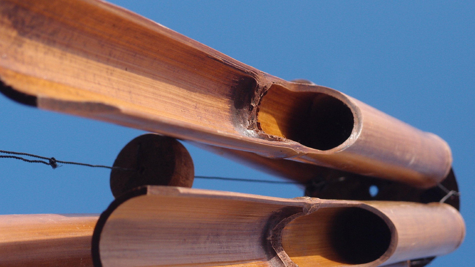 2022-01-28 Das Kleine Regen Rhythmus Orchester (Special Guest: Woodwinds III) (aufm Dach) (Audio, Video)