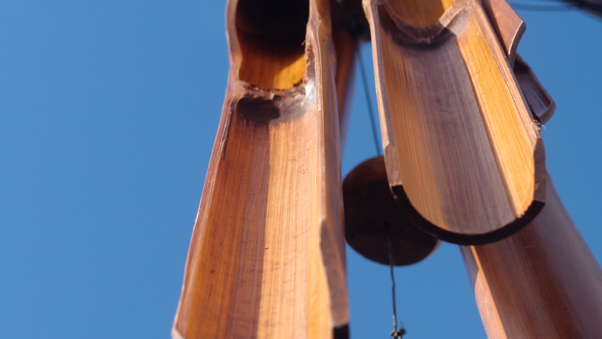 2022-01-28 Das Kleine Regen Rhythmus Orchester (Special Guest: Woodwinds III) (aufm Dach) (Audio, Video)