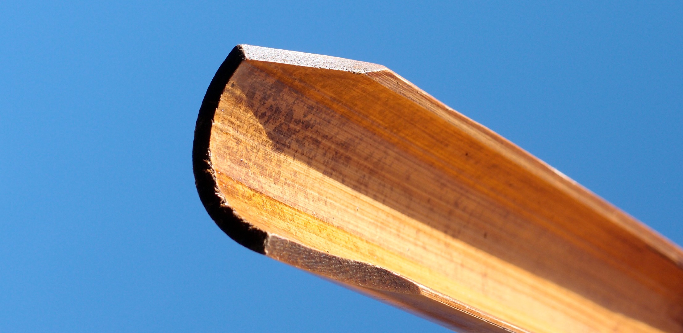 2022-01-28 Das Kleine Regen Rhythmus Orchester (Special Guest: Woodwinds III) (aufm Dach) (Audio, Video)