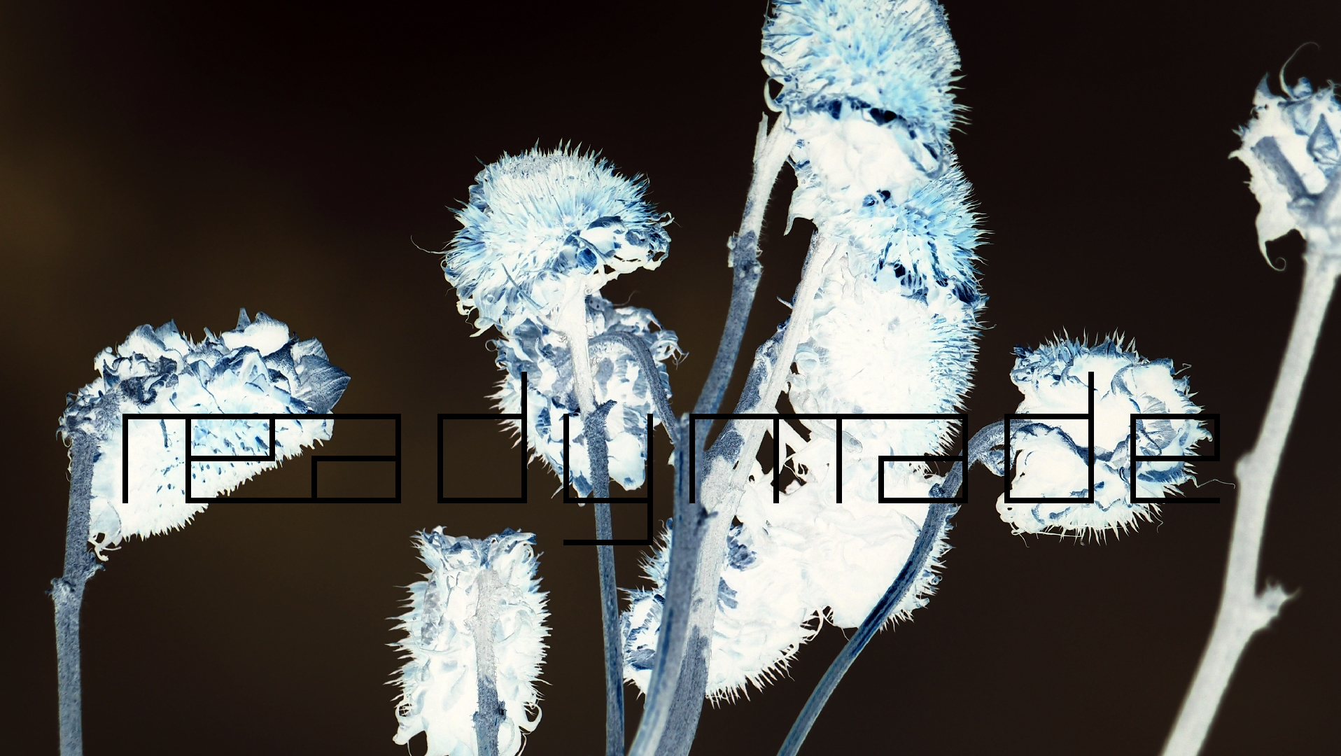 2022-01-28 Das Kleine Regen Rhythmus Orchester (Special Guest: Woodwinds III) (aufm Dach) (Audio, Video)