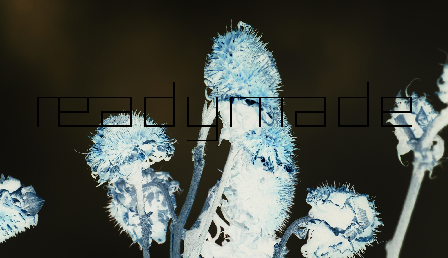 2022-01-28 Das Kleine Regen Rhythmus Orchester (Special Guest: Woodwinds III) (aufm Dach) (Audio, Video)