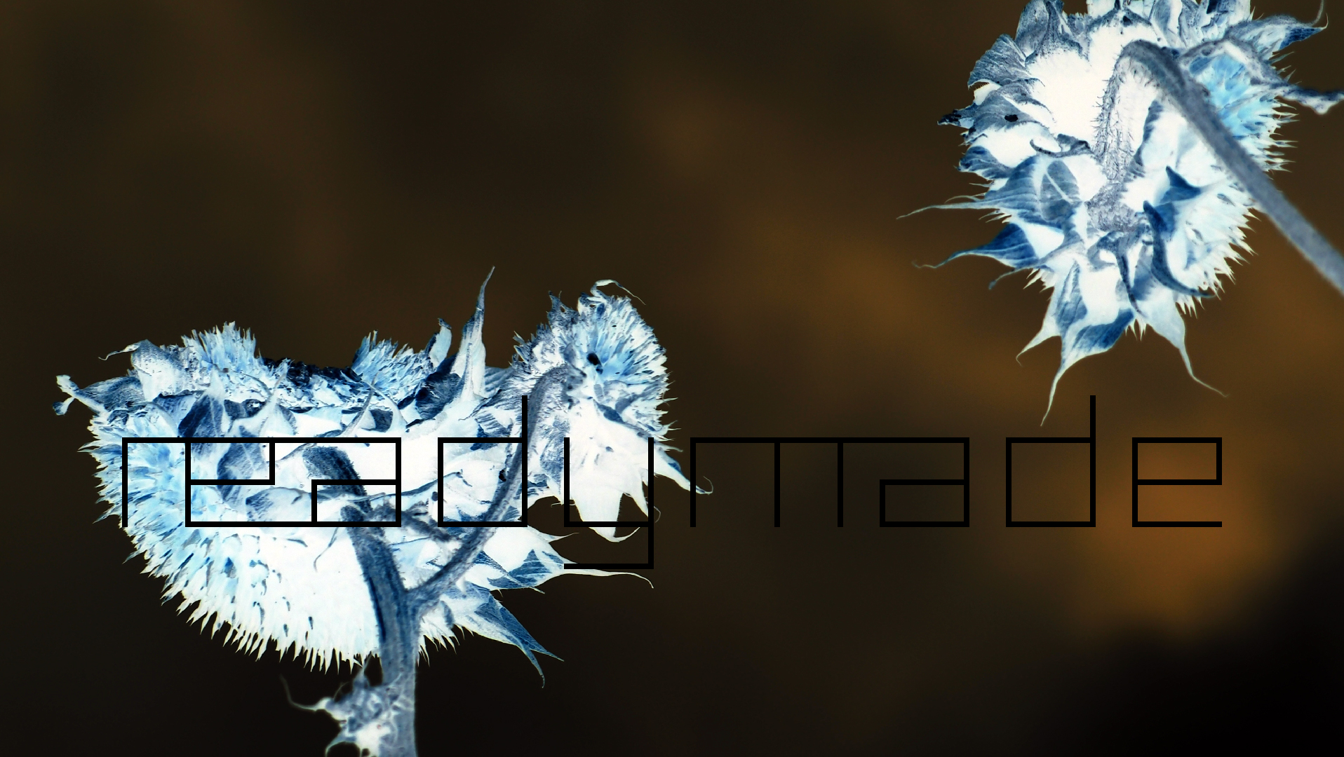 2022-01-28 Das Kleine Regen Rhythmus Orchester (Special Guest: Woodwinds III) (aufm Dach) (Audio, Video)