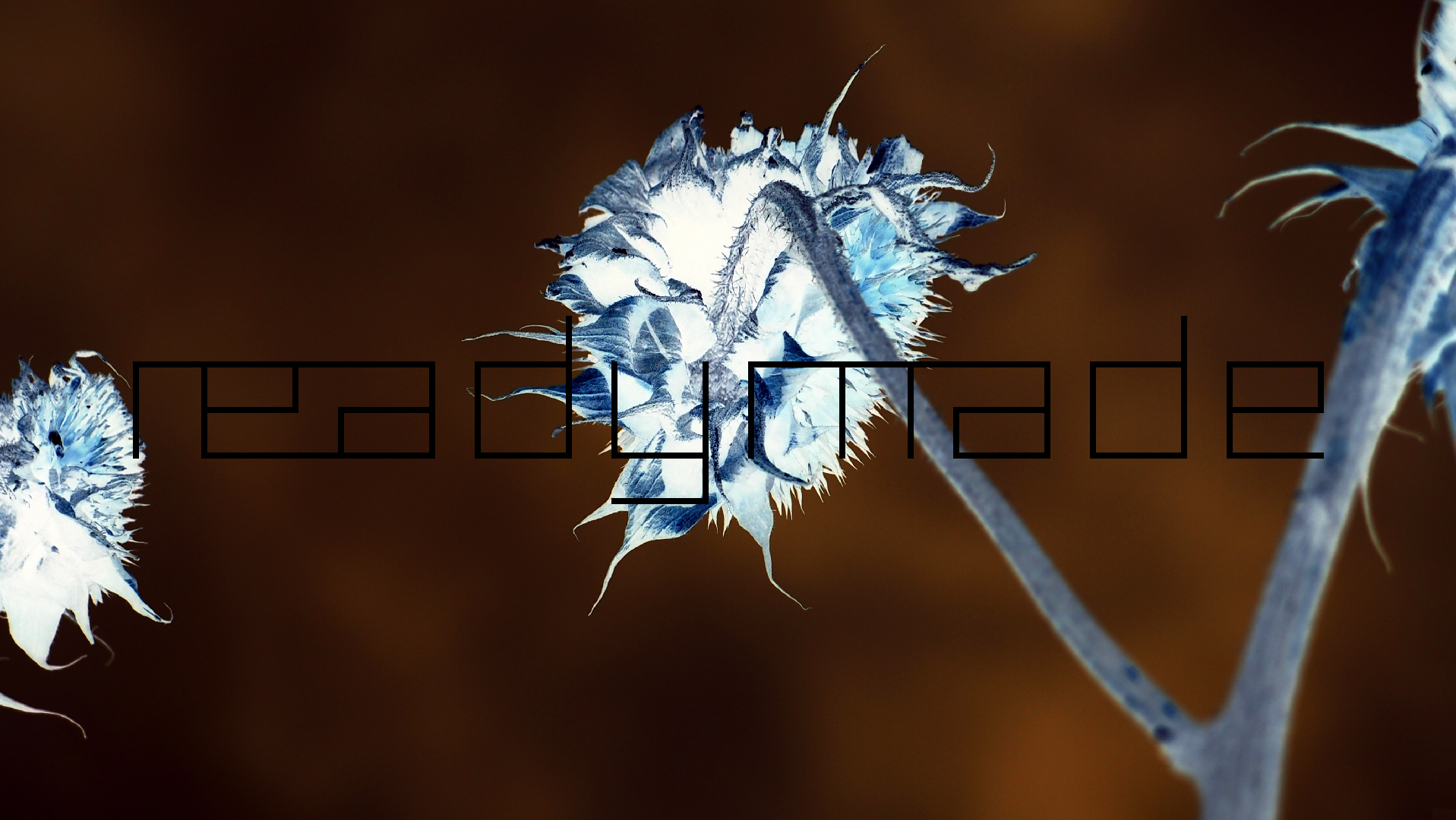 2022-01-28 Das Kleine Regen Rhythmus Orchester (Special Guest: Woodwinds III) (aufm Dach) (Audio, Video)