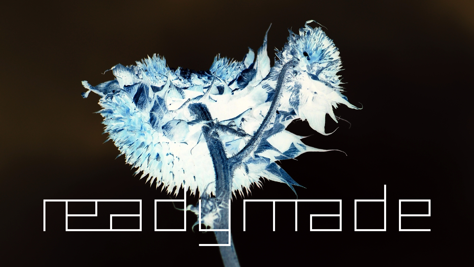 2022-01-28 Das Kleine Regen Rhythmus Orchester (Special Guest: Woodwinds III) (aufm Dach) (Audio, Video)