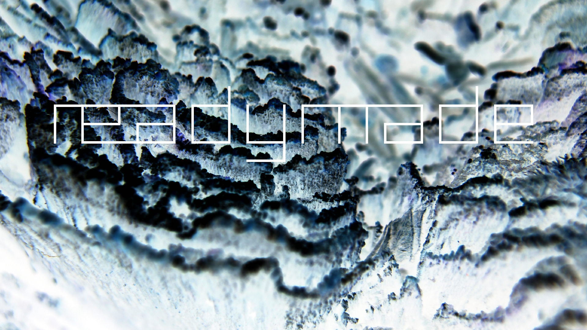 2022-01-28 Das Kleine Regen Rhythmus Orchester (Special Guest: Woodwinds III) (aufm Dach) (Audio, Video)