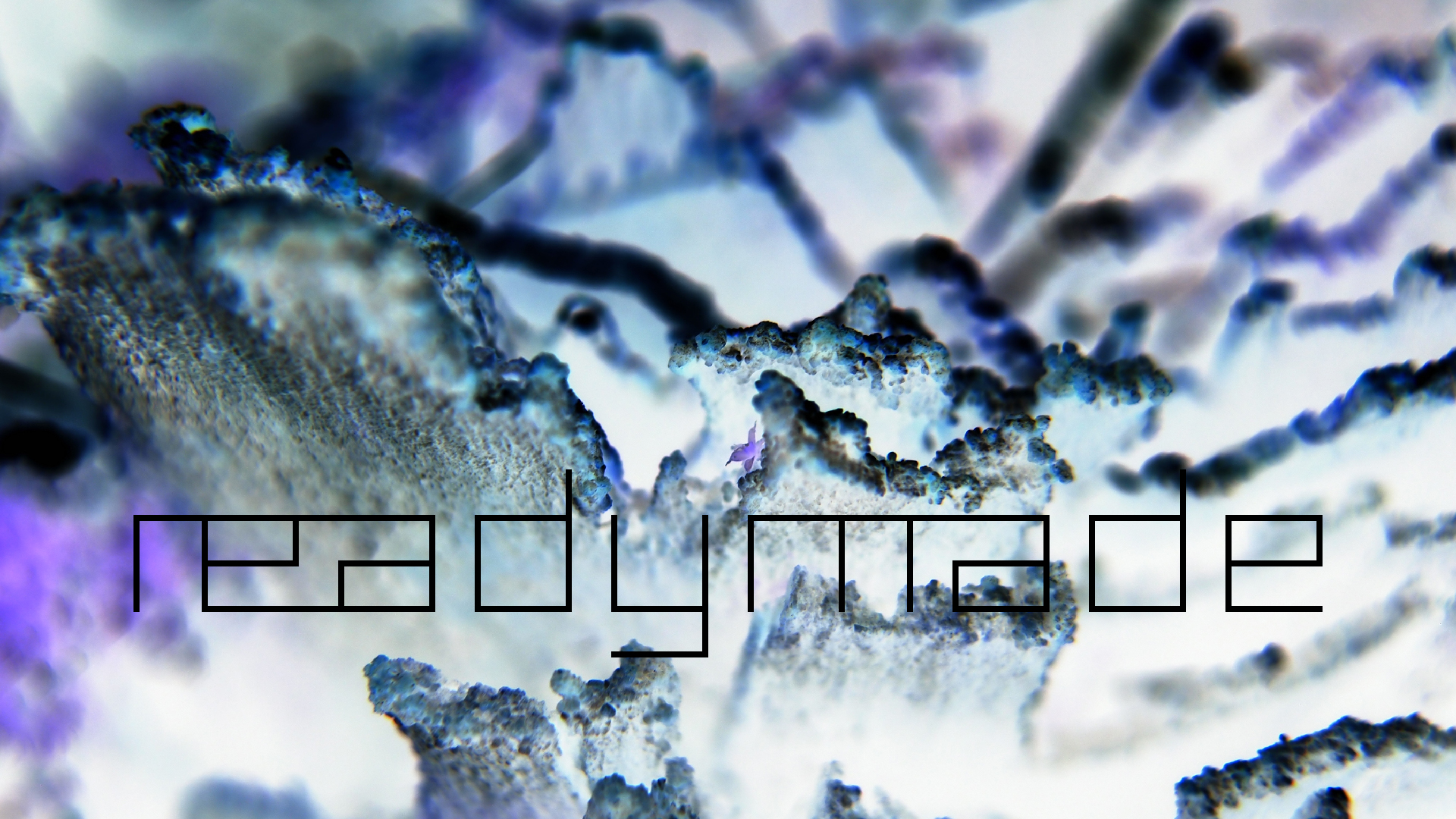 2022-01-28 Das Kleine Regen Rhythmus Orchester (Special Guest: Woodwinds III) (aufm Dach) (Audio, Video)