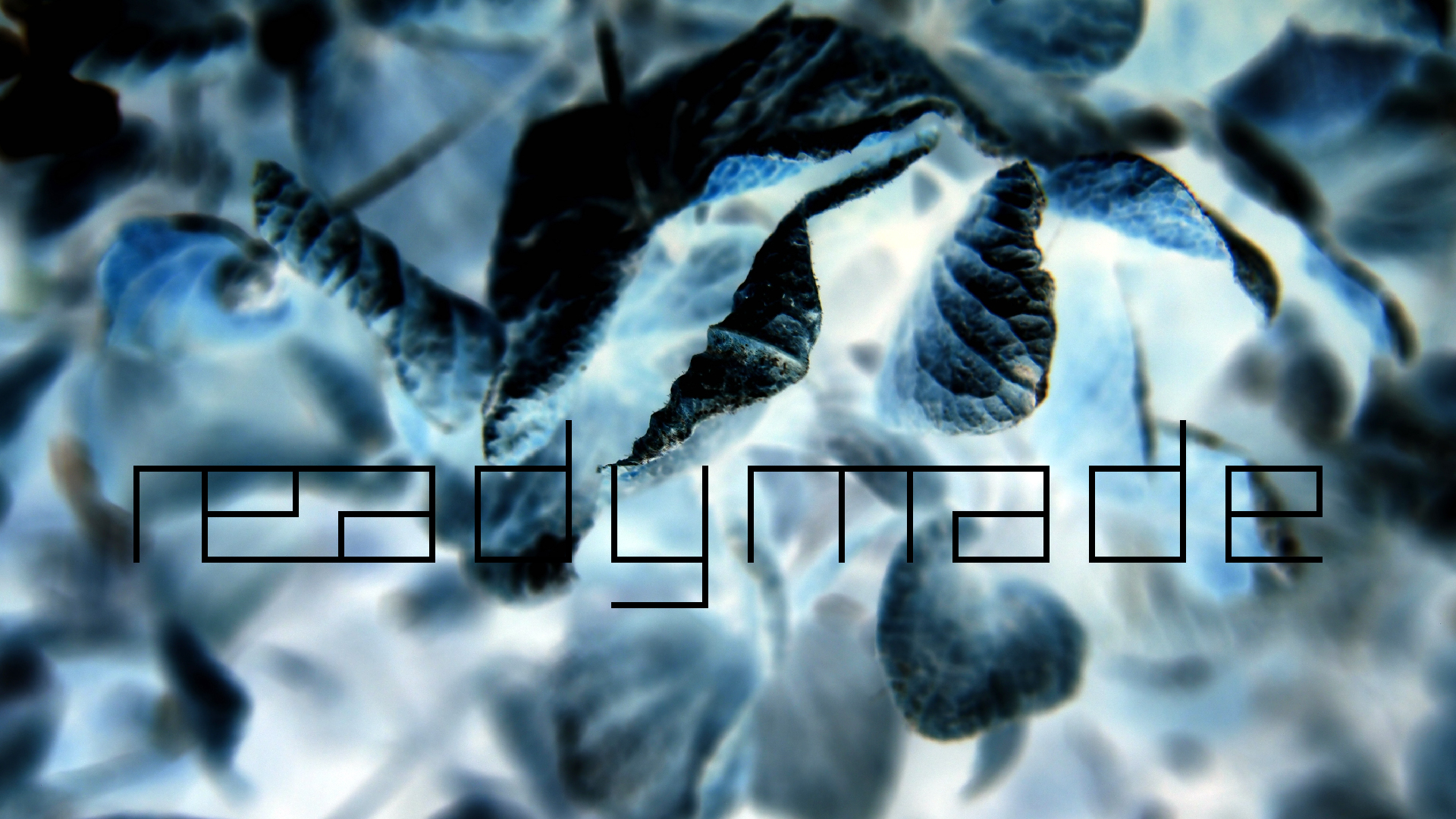 2022-01-28 Das Kleine Regen Rhythmus Orchester (Special Guest: Woodwinds III) (aufm Dach) (Audio, Video)