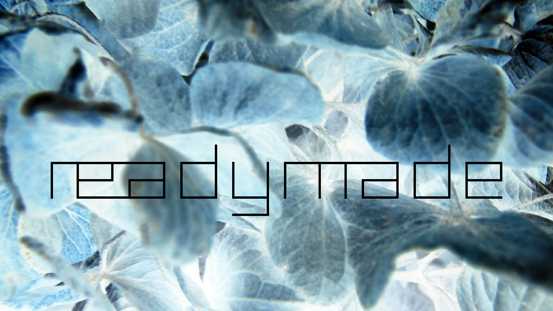 2022-01-28 Das Kleine Regen Rhythmus Orchester (Special Guest: Woodwinds III) (aufm Dach) (Audio, Video)