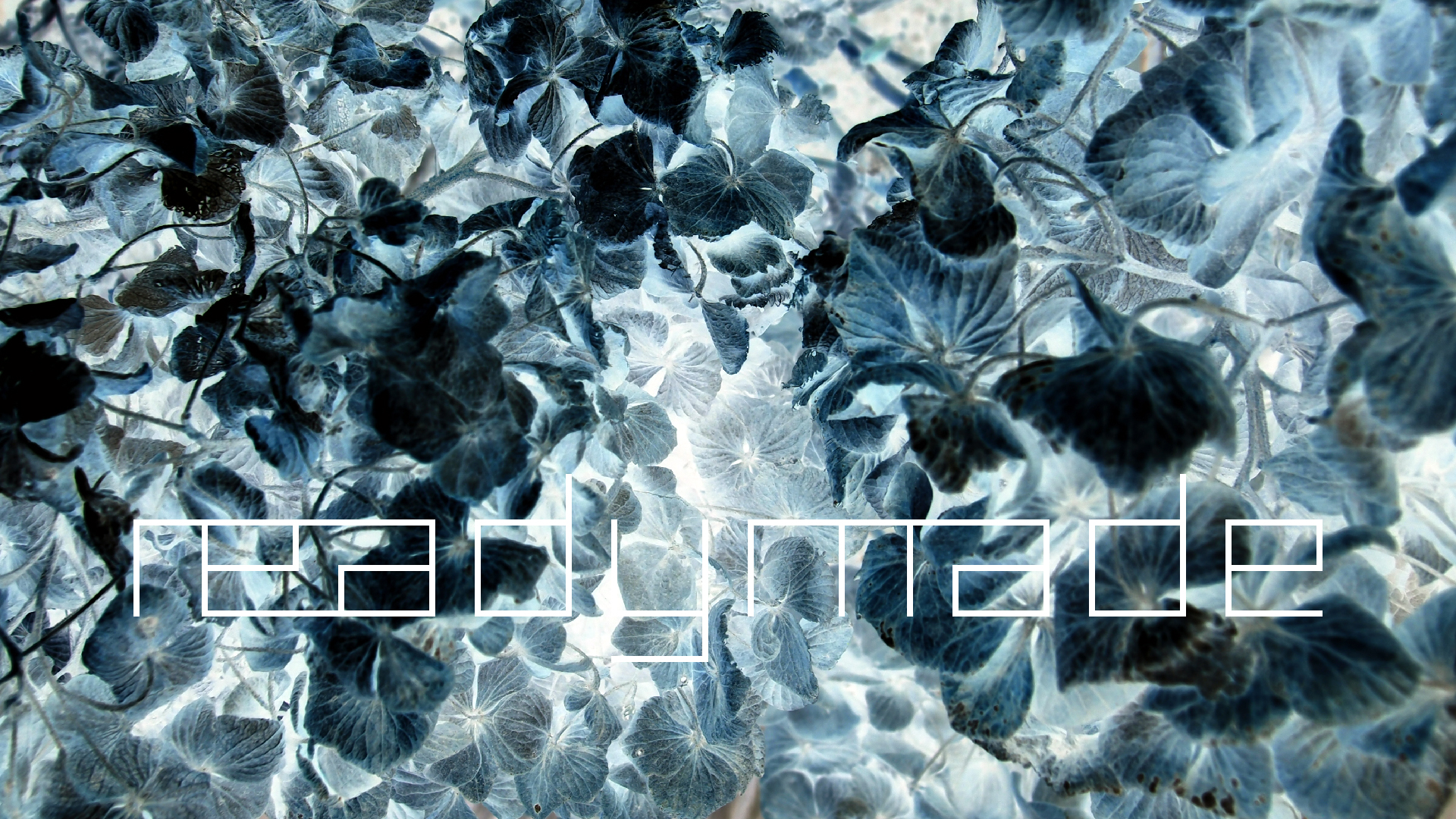 2022-01-28 Das Kleine Regen Rhythmus Orchester (Special Guest: Woodwinds III) (aufm Dach) (Audio, Video)