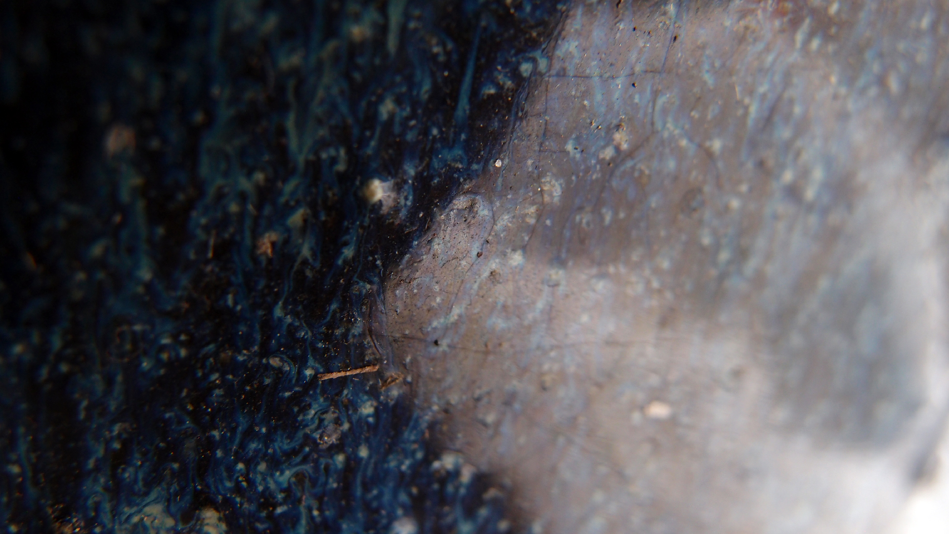 2022-01-28 Das Kleine Regen Rhythmus Orchester (Special Guest: Woodwinds III) (aufm Dach) (Audio, Video)