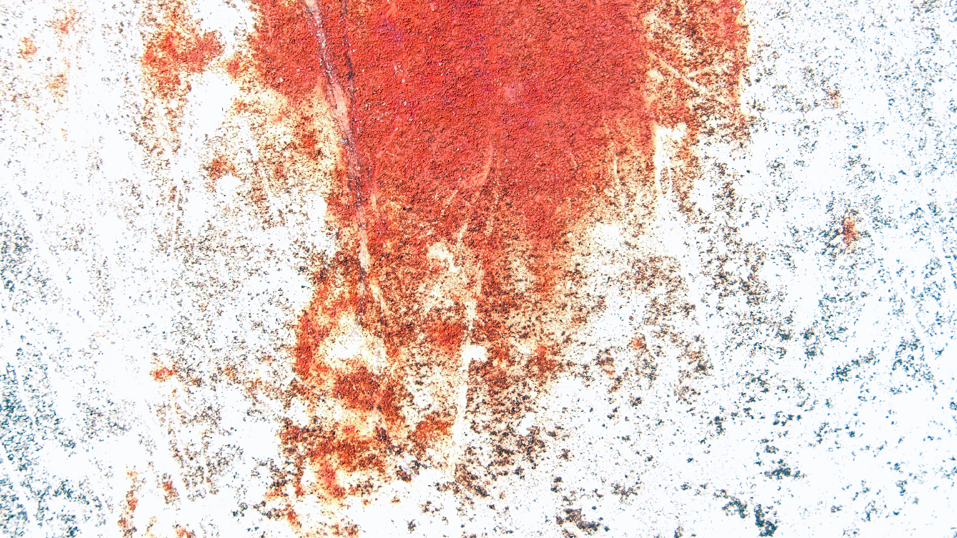 2022-01-28 Das Kleine Regen Rhythmus Orchester (Special Guest: Woodwinds III) (aufm Dach) (Audio, Video)