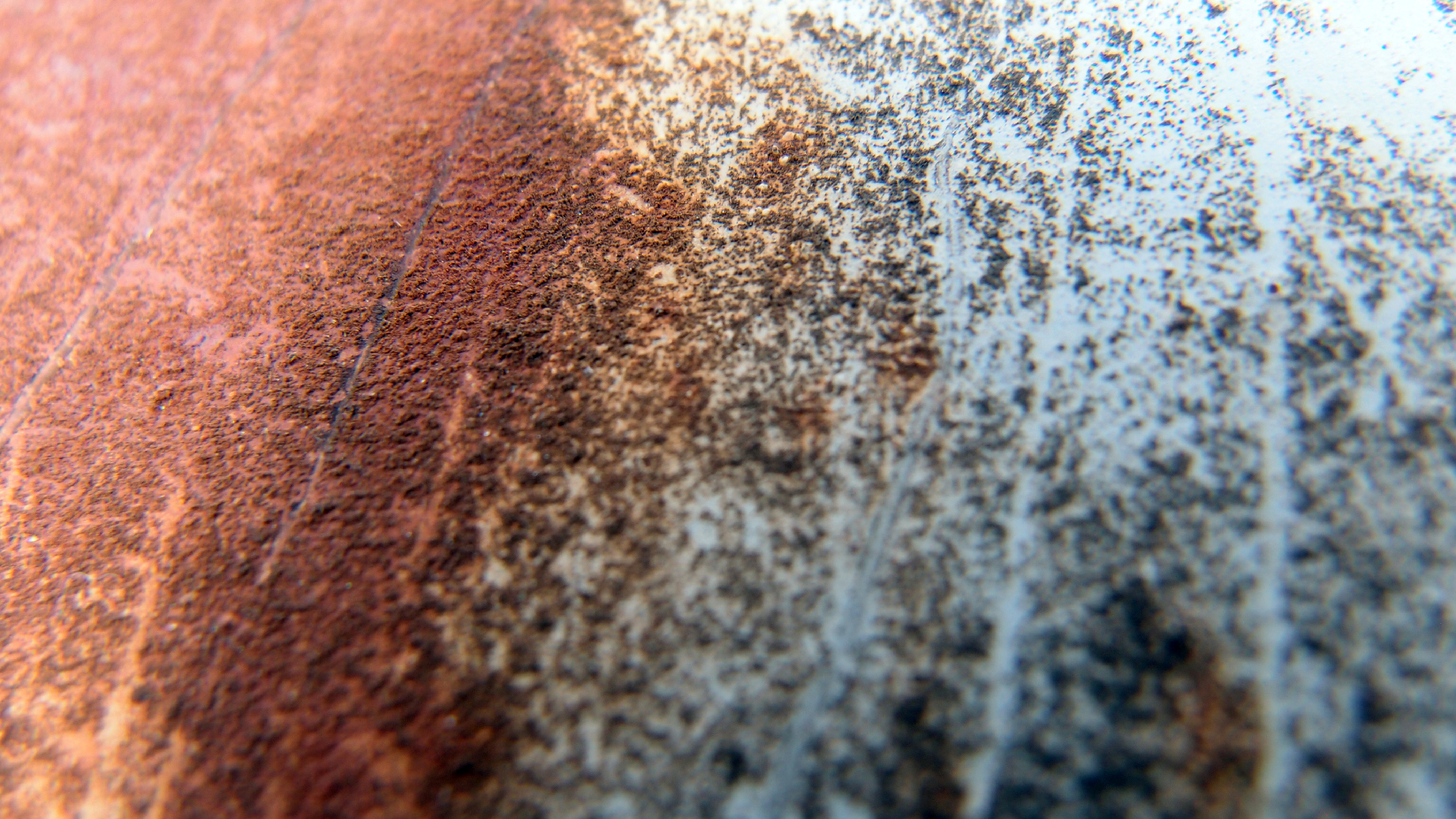 2022-01-28 Das Kleine Regen Rhythmus Orchester (Special Guest: Woodwinds III) (aufm Dach) (Audio, Video)