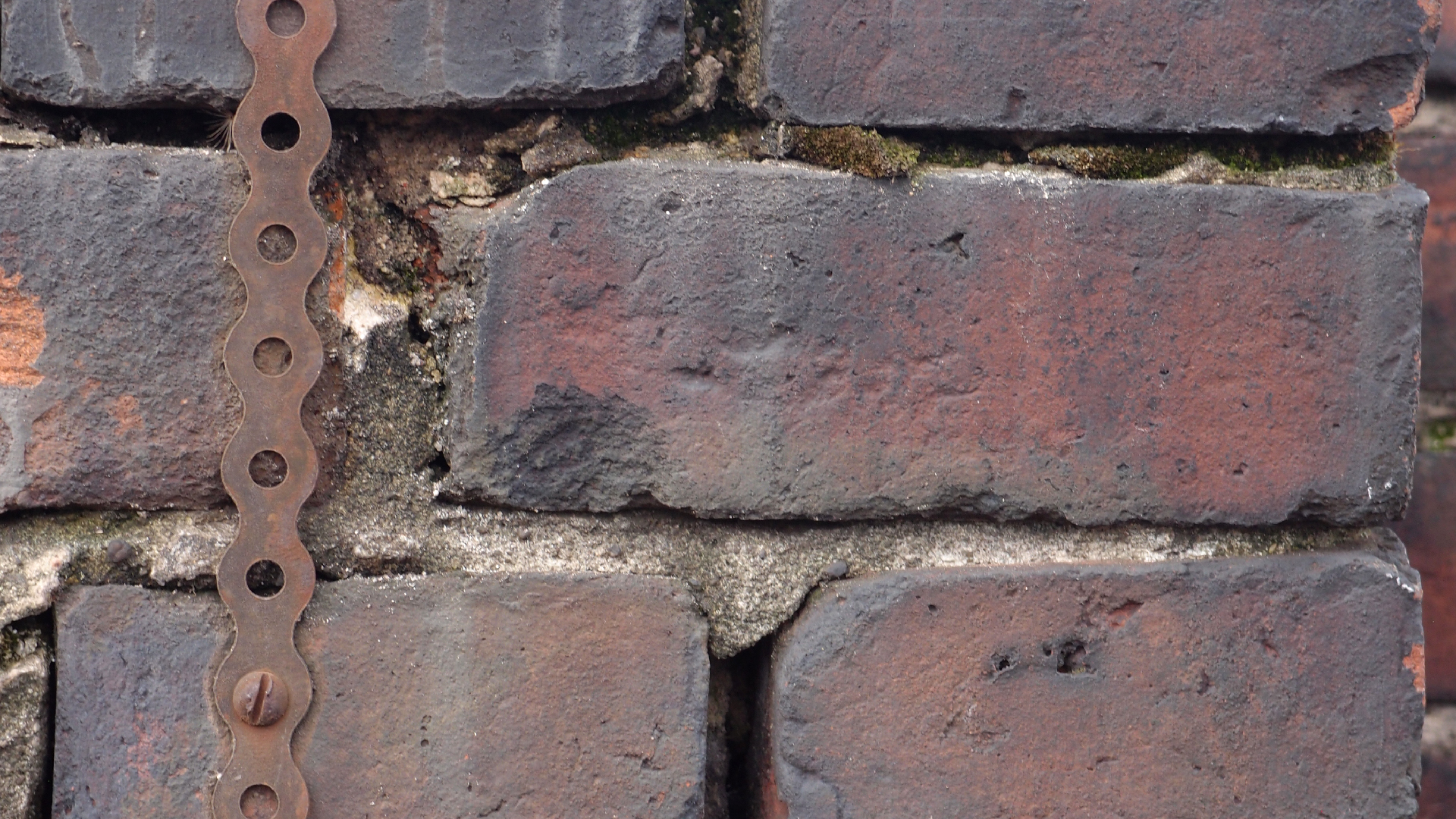 2022-01-28 Das Kleine Regen Rhythmus Orchester (Special Guest: Woodwinds III) (aufm Dach) (Audio, Video)