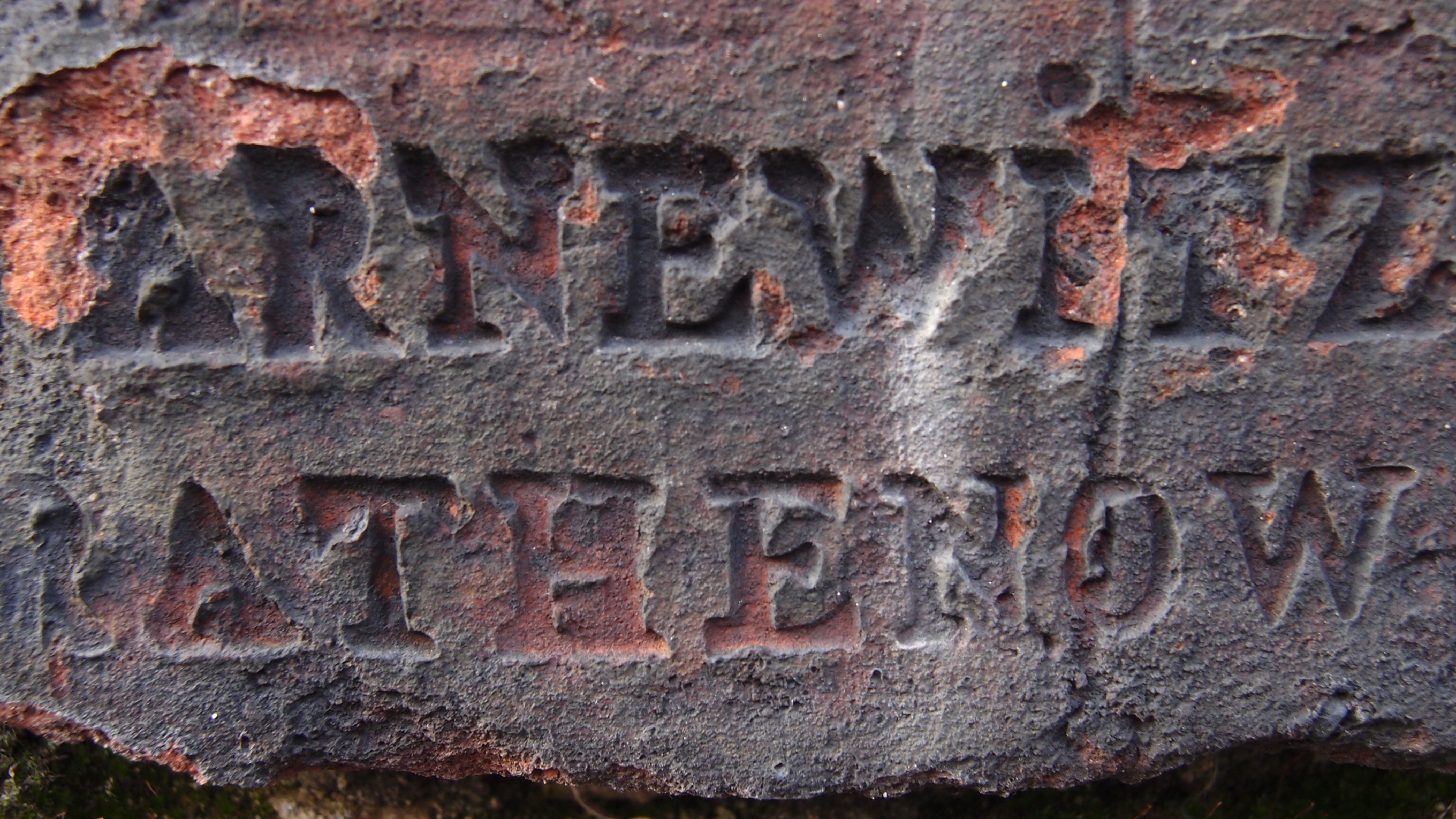 2022-01-28 Das Kleine Regen Rhythmus Orchester (Special Guest: Woodwinds III) (aufm Dach) (Audio, Video)