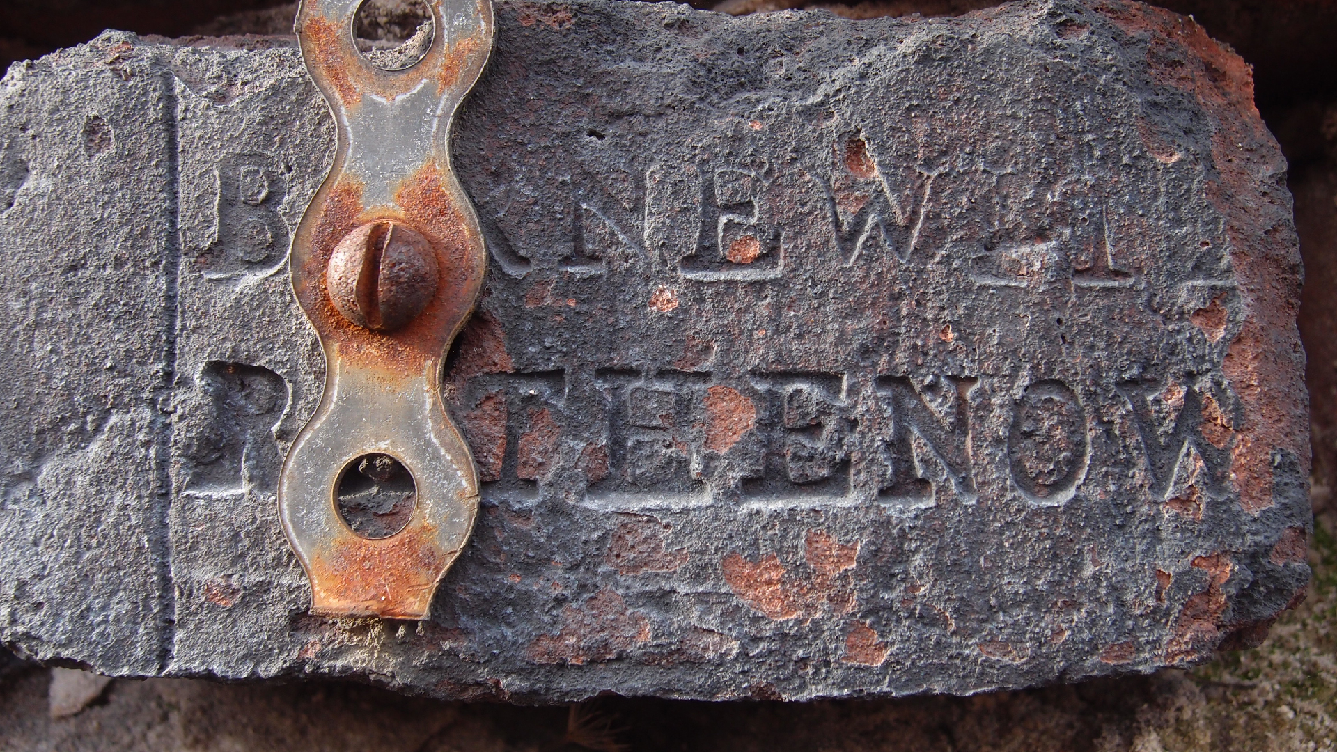 2022-01-28 Das Kleine Regen Rhythmus Orchester (Special Guest: Woodwinds III) (aufm Dach) (Audio, Video)