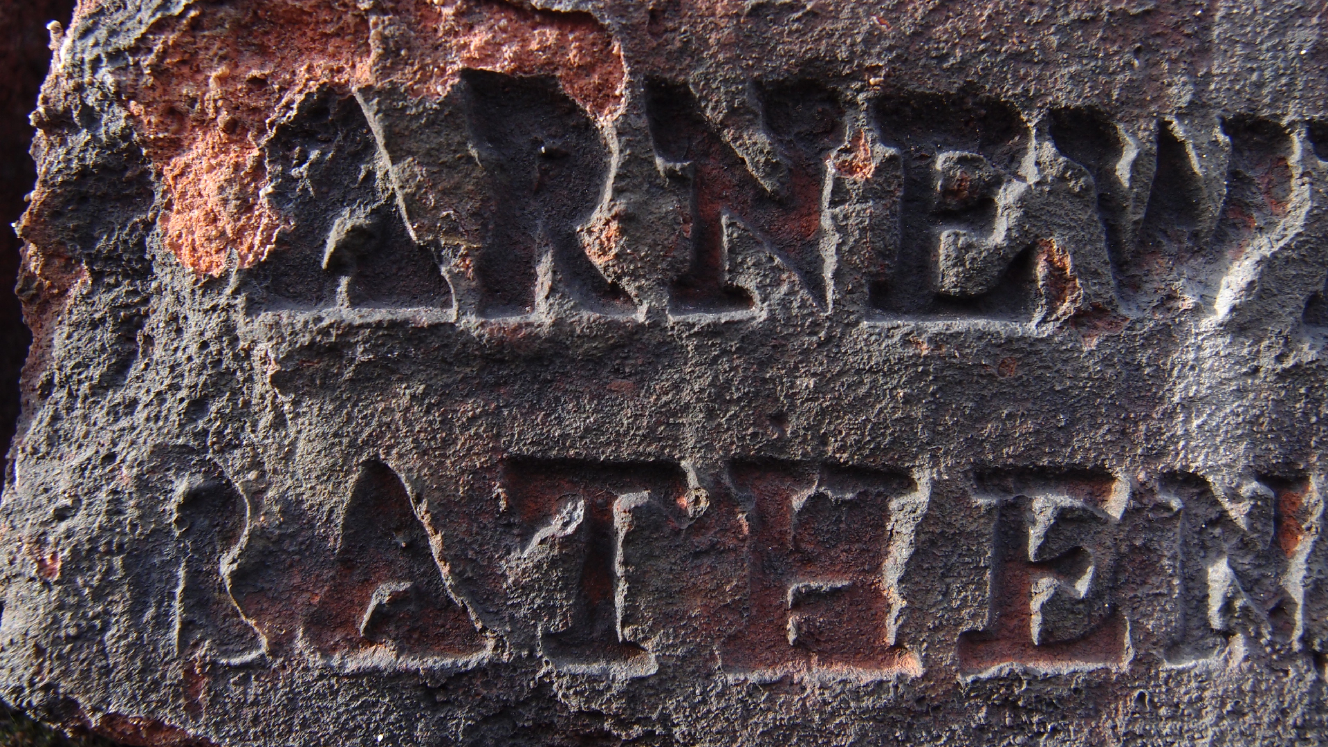 2022-01-28 Das Kleine Regen Rhythmus Orchester (Special Guest: Woodwinds III) (aufm Dach) (Audio, Video)