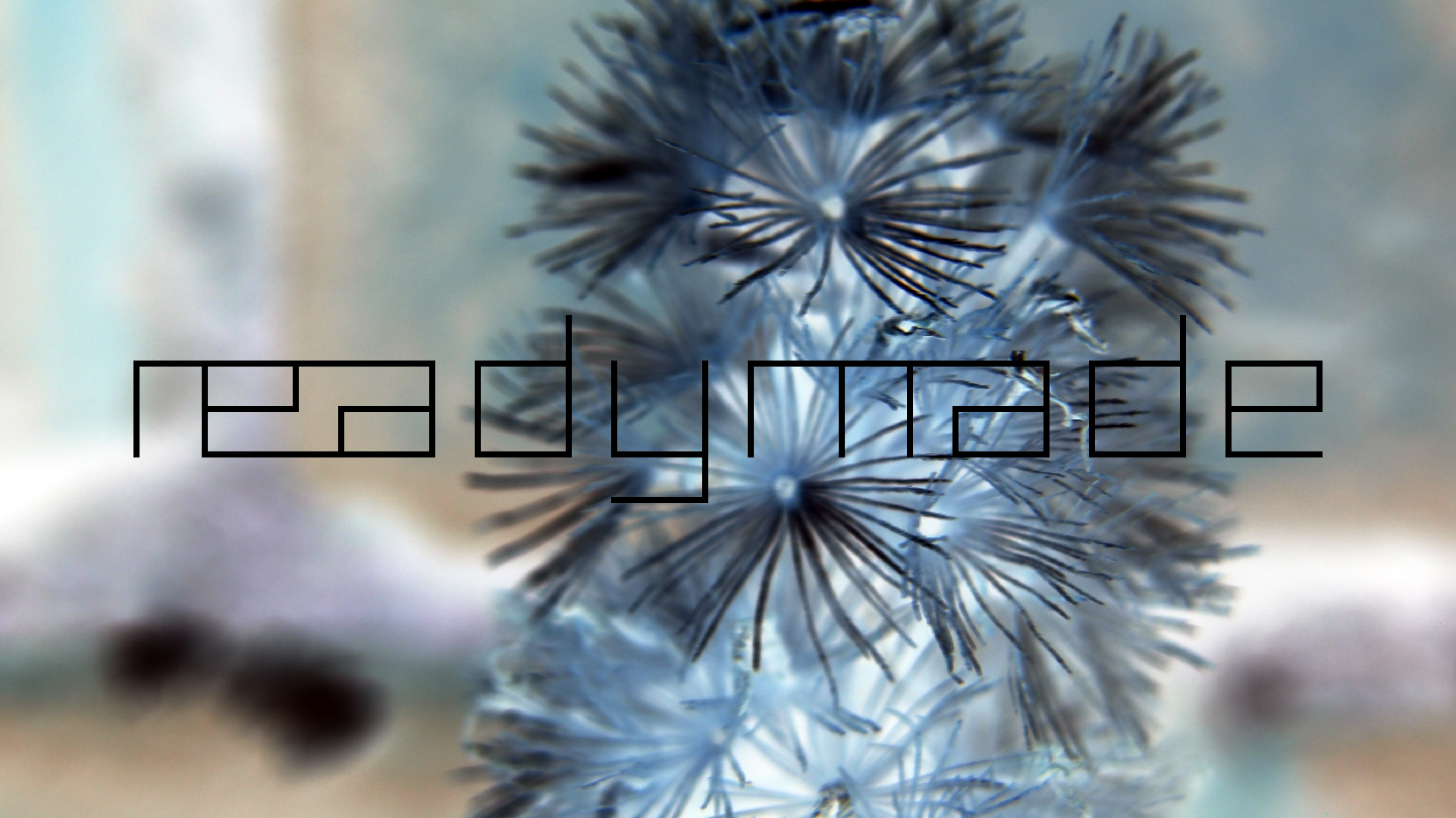 2022-01-28 Das Kleine Regen Rhythmus Orchester (Special Guest: Woodwinds III) (aufm Dach) (Audio, Video)