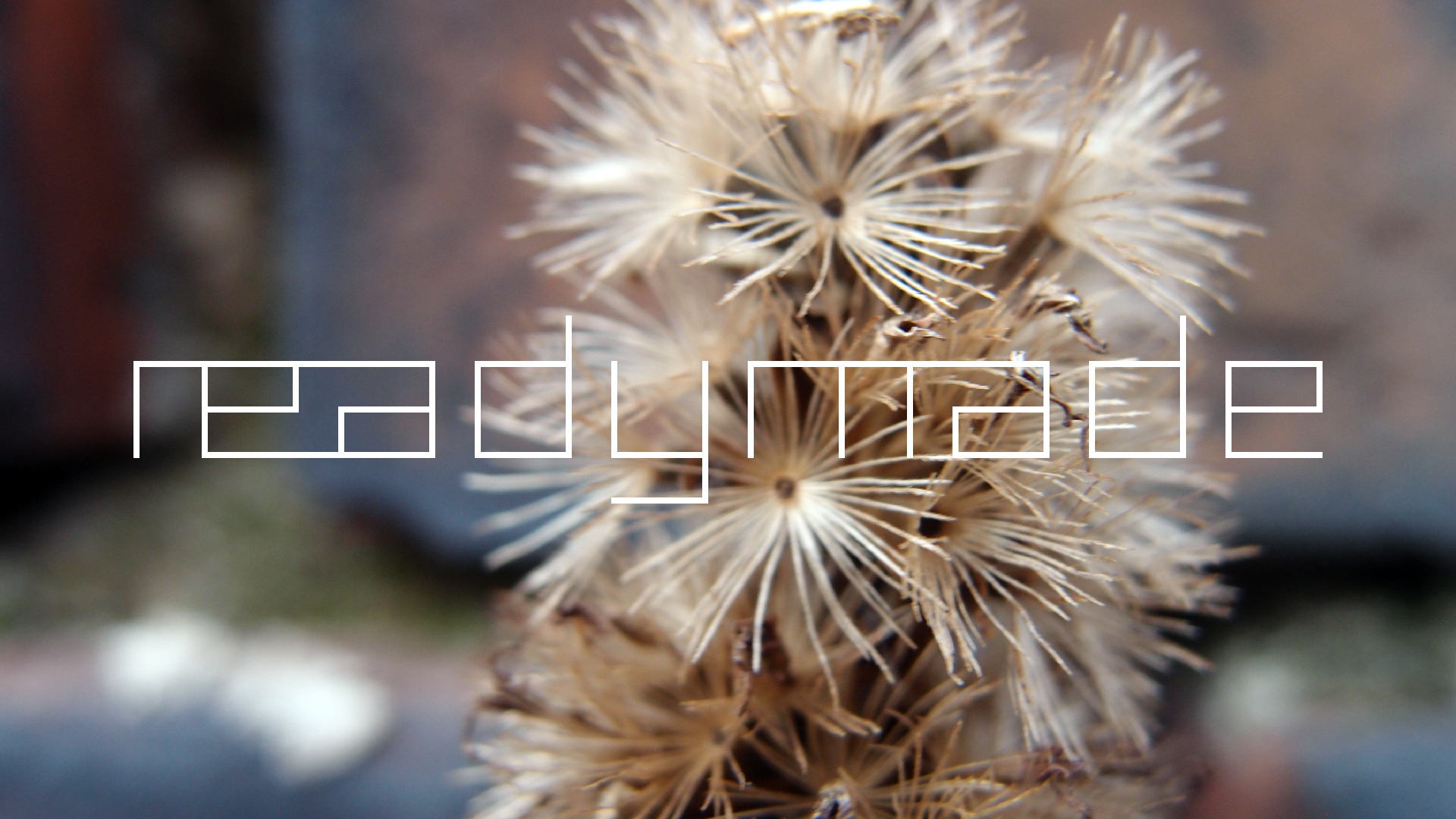 2022-01-28 Das Kleine Regen Rhythmus Orchester (Special Guest: Woodwinds III) (aufm Dach) (Audio, Video)